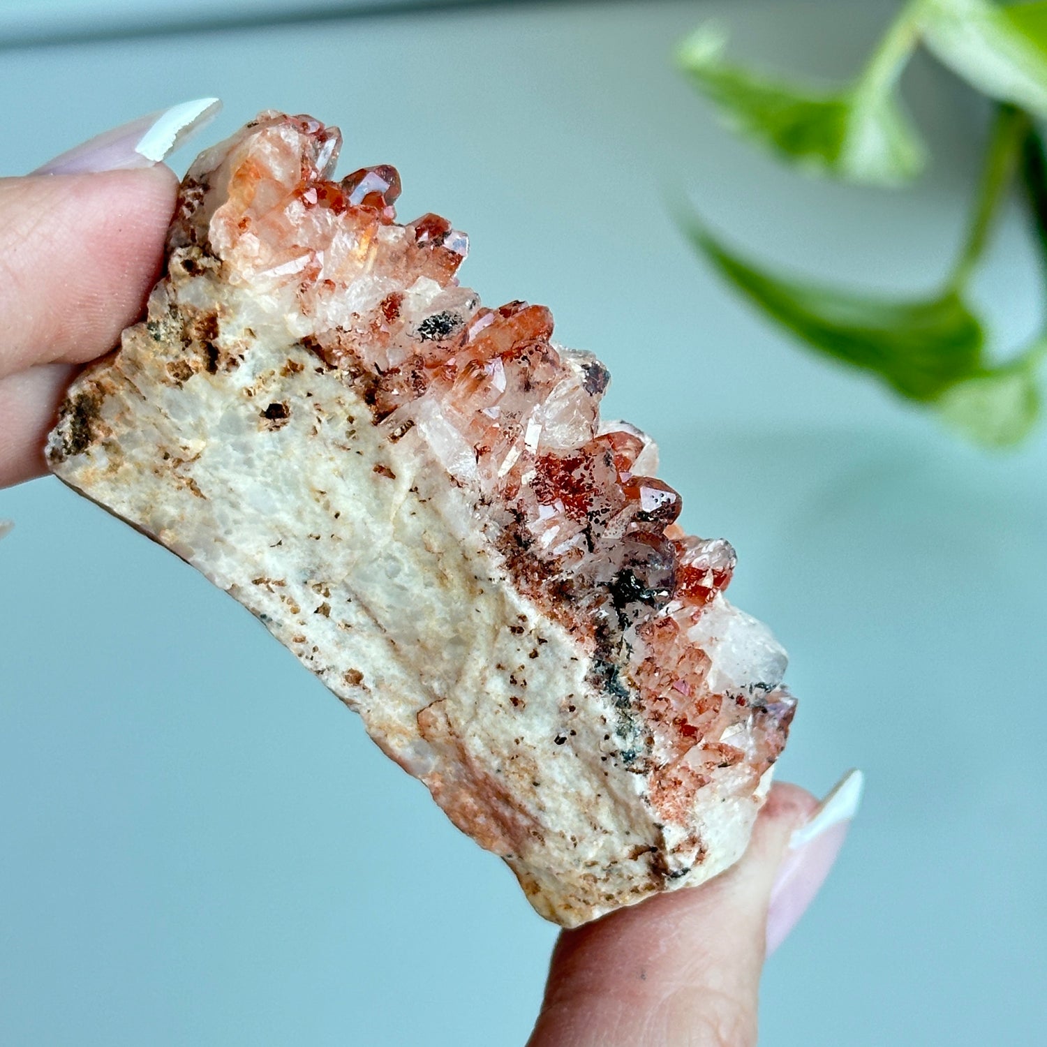 Brazilian Red Dragon Lemurian Cluster 74g