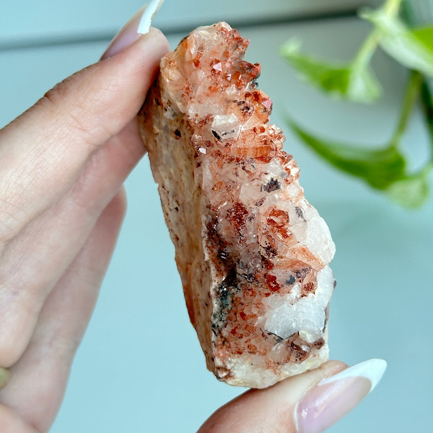 Brazilian Red Dragon Lemurian Cluster 74g