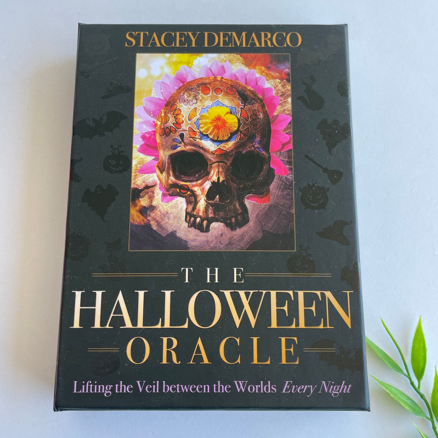 The Halloween Oracle Stacey Demarco