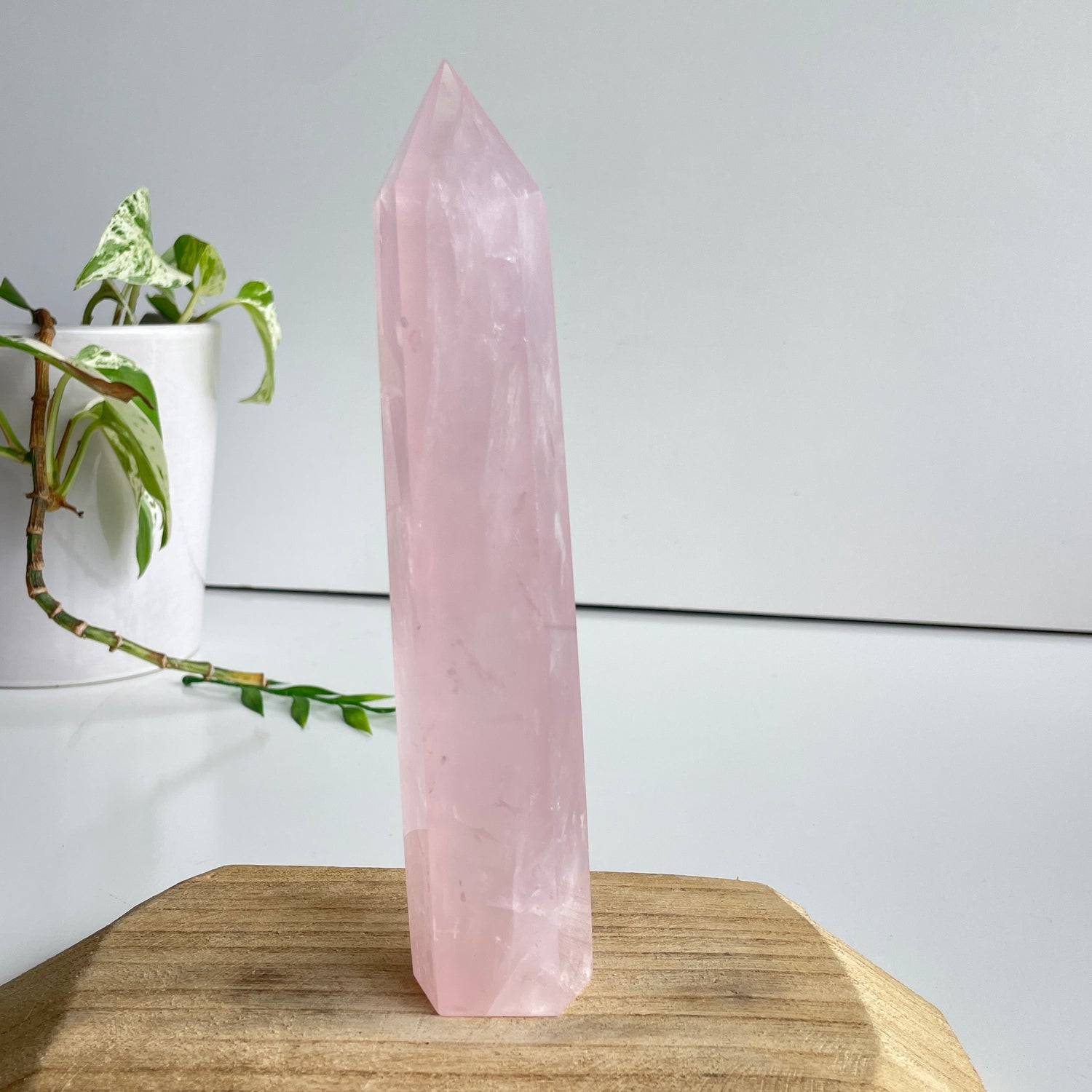 Rose Quartz Generator 17.8cm