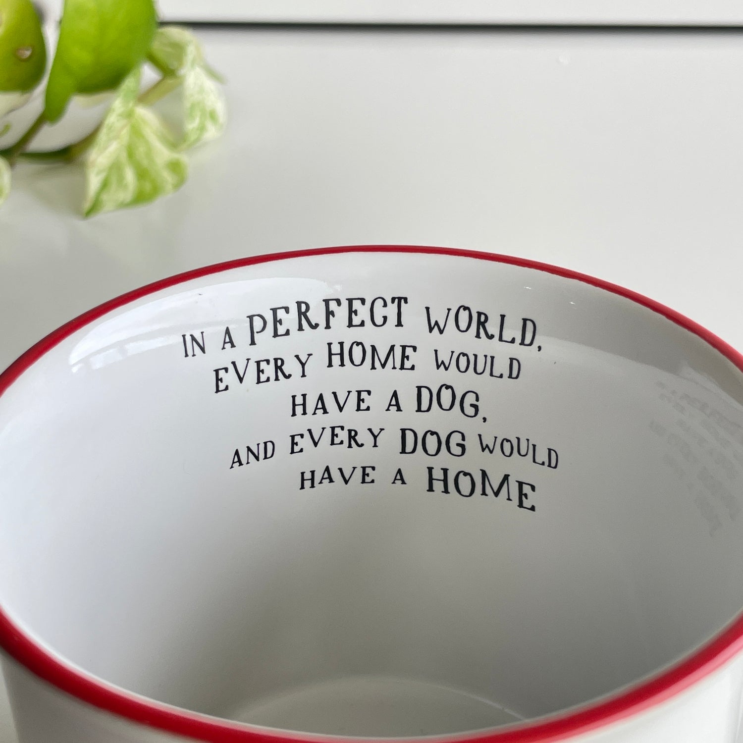 Dog Perfect World Camp Mug MUG000107