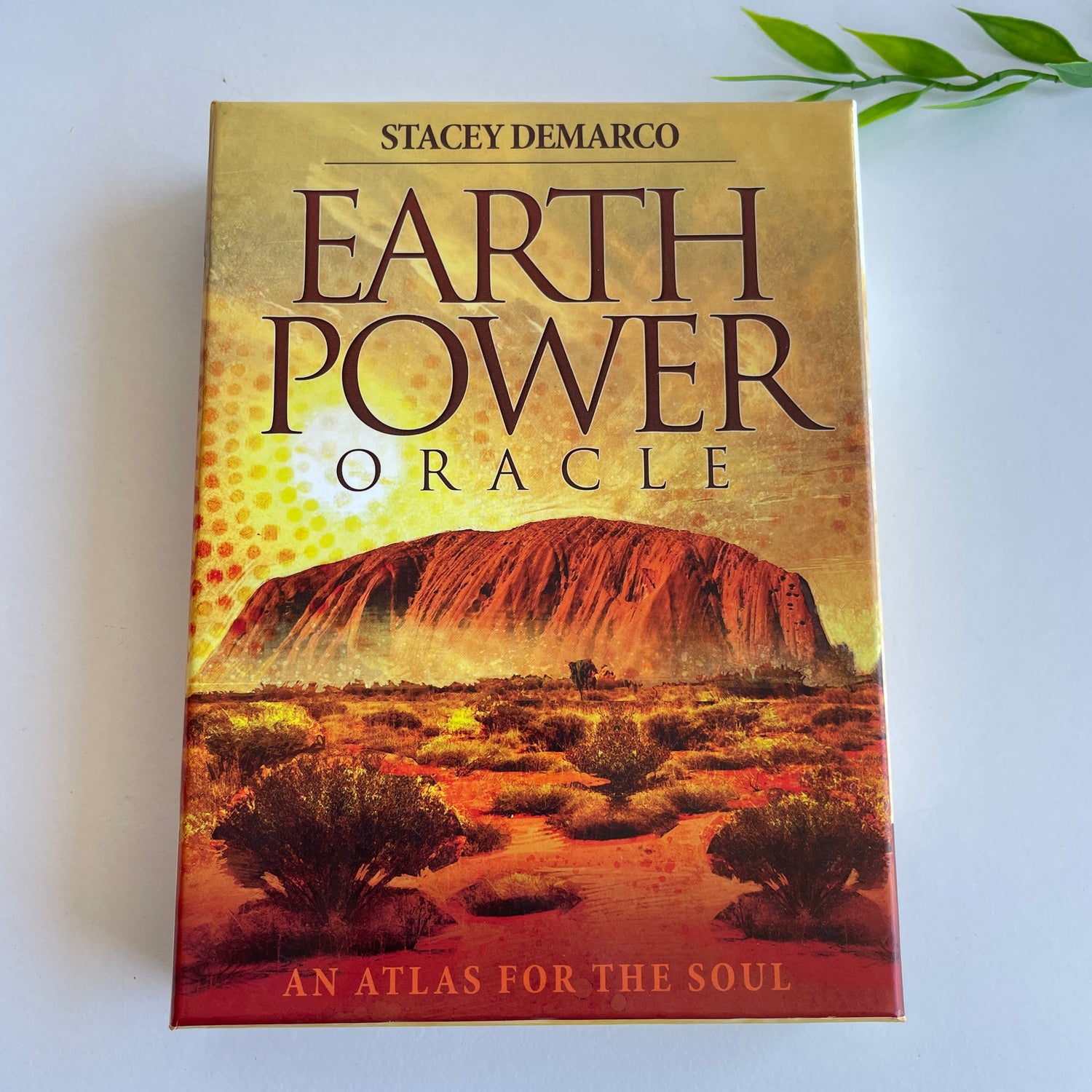 Earth Power Oracle Cards Stacey Demarco