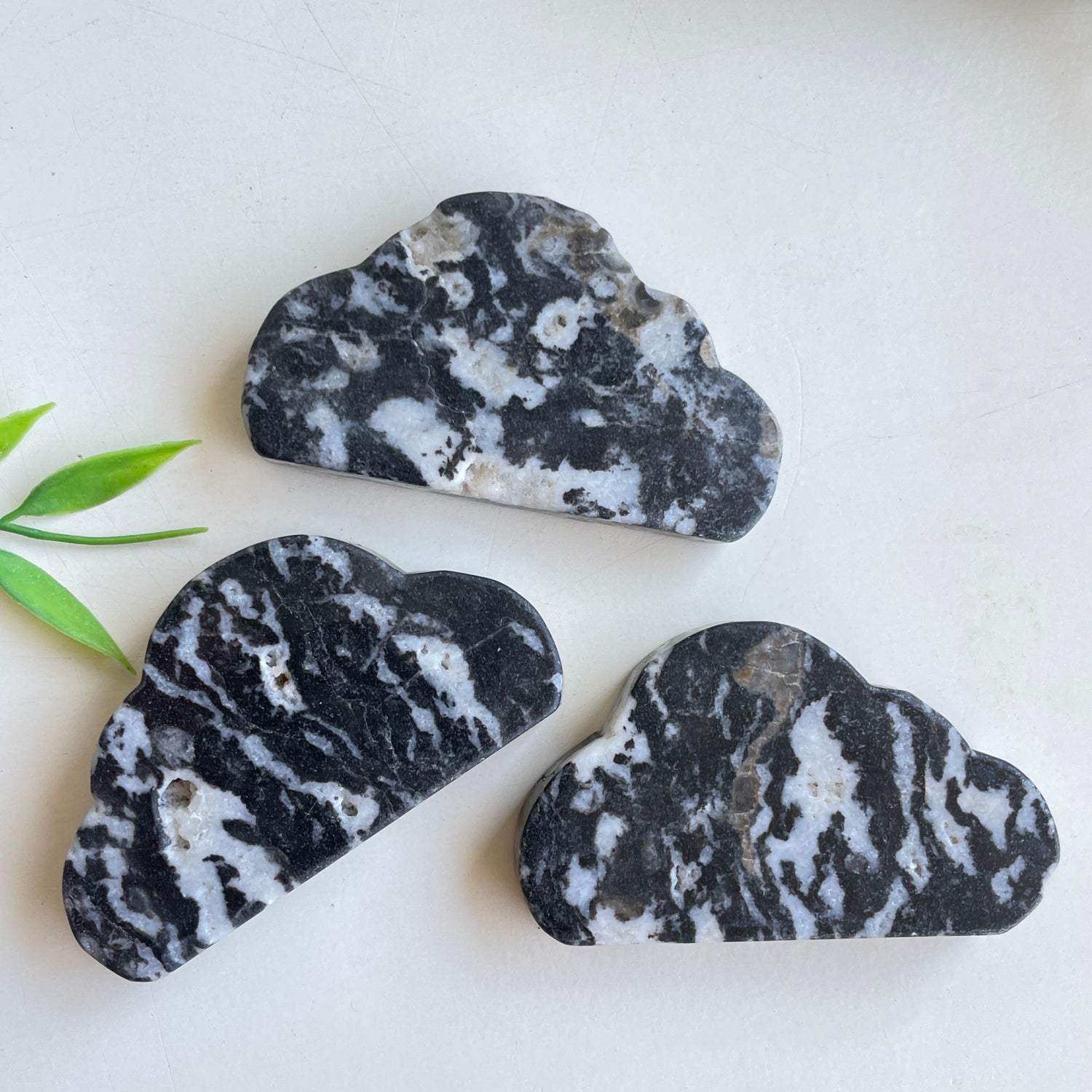 Zebra Jasper Cloud