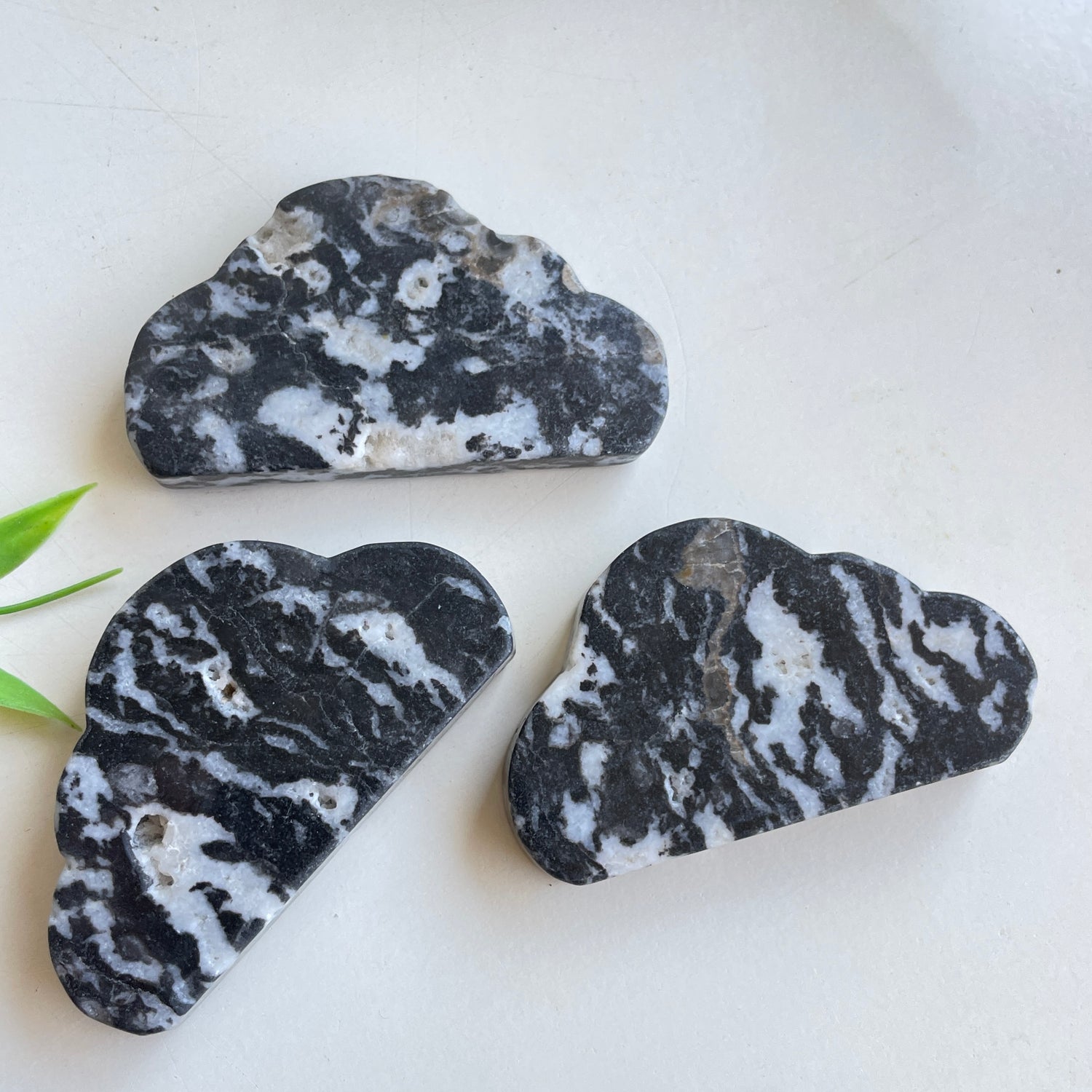 Zebra Jasper Cloud