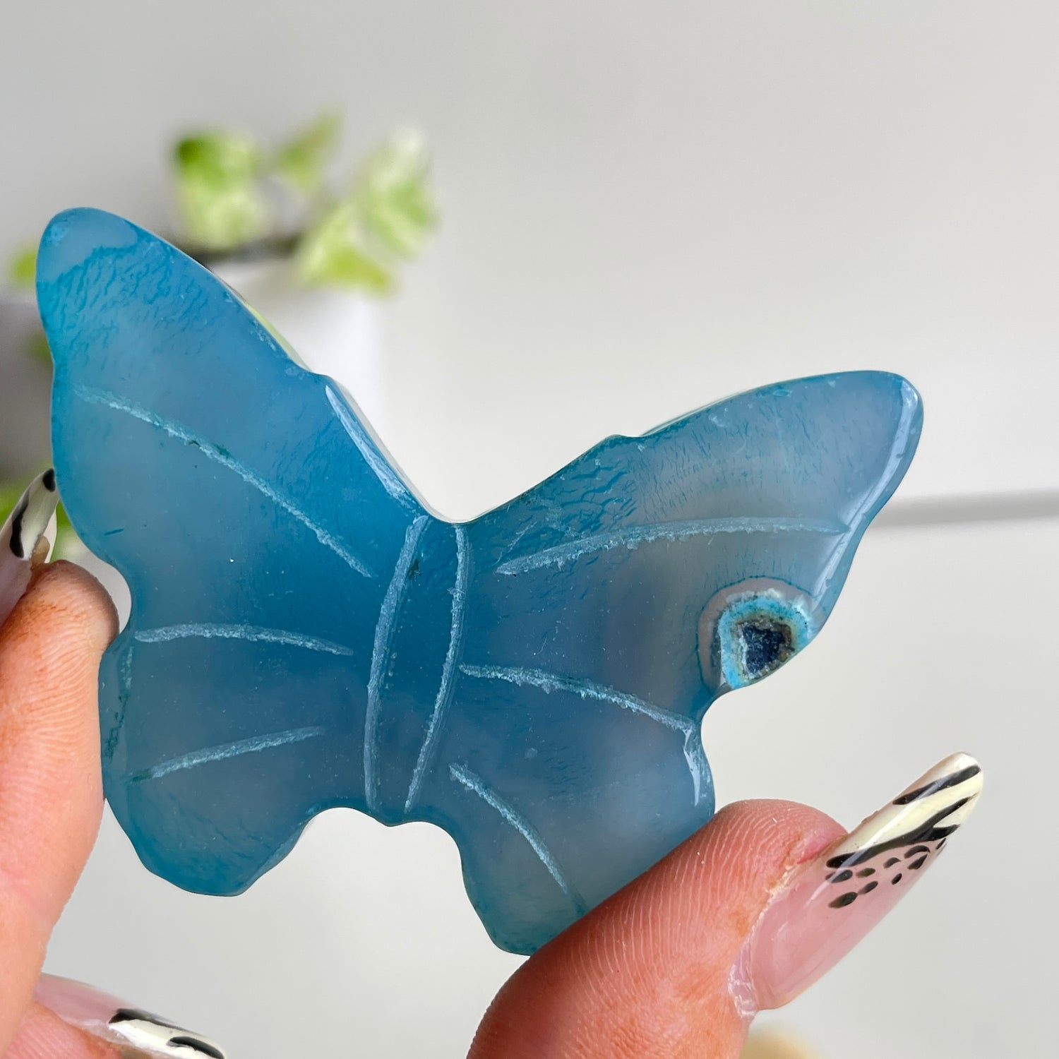 Agate Butterfly 5.9cm
