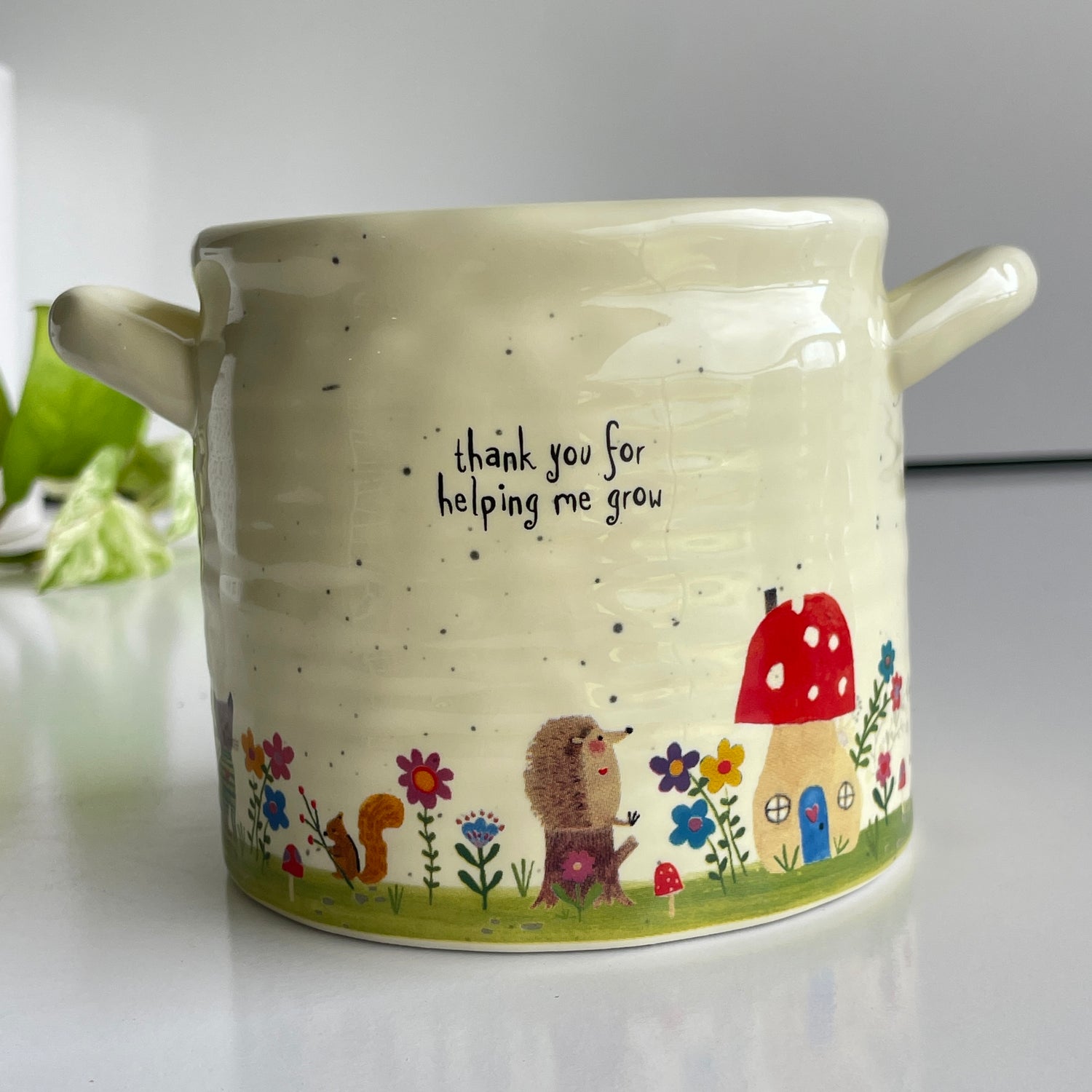 Thankyou For Helping Me Pot PLNT000043