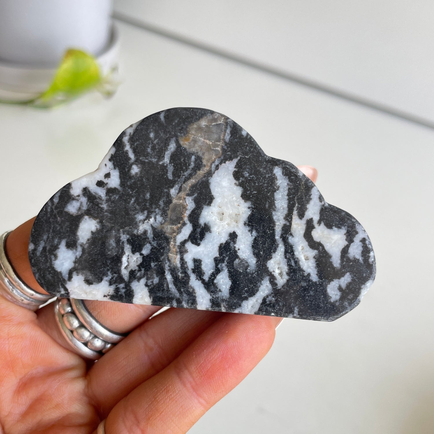 Zebra Jasper Cloud