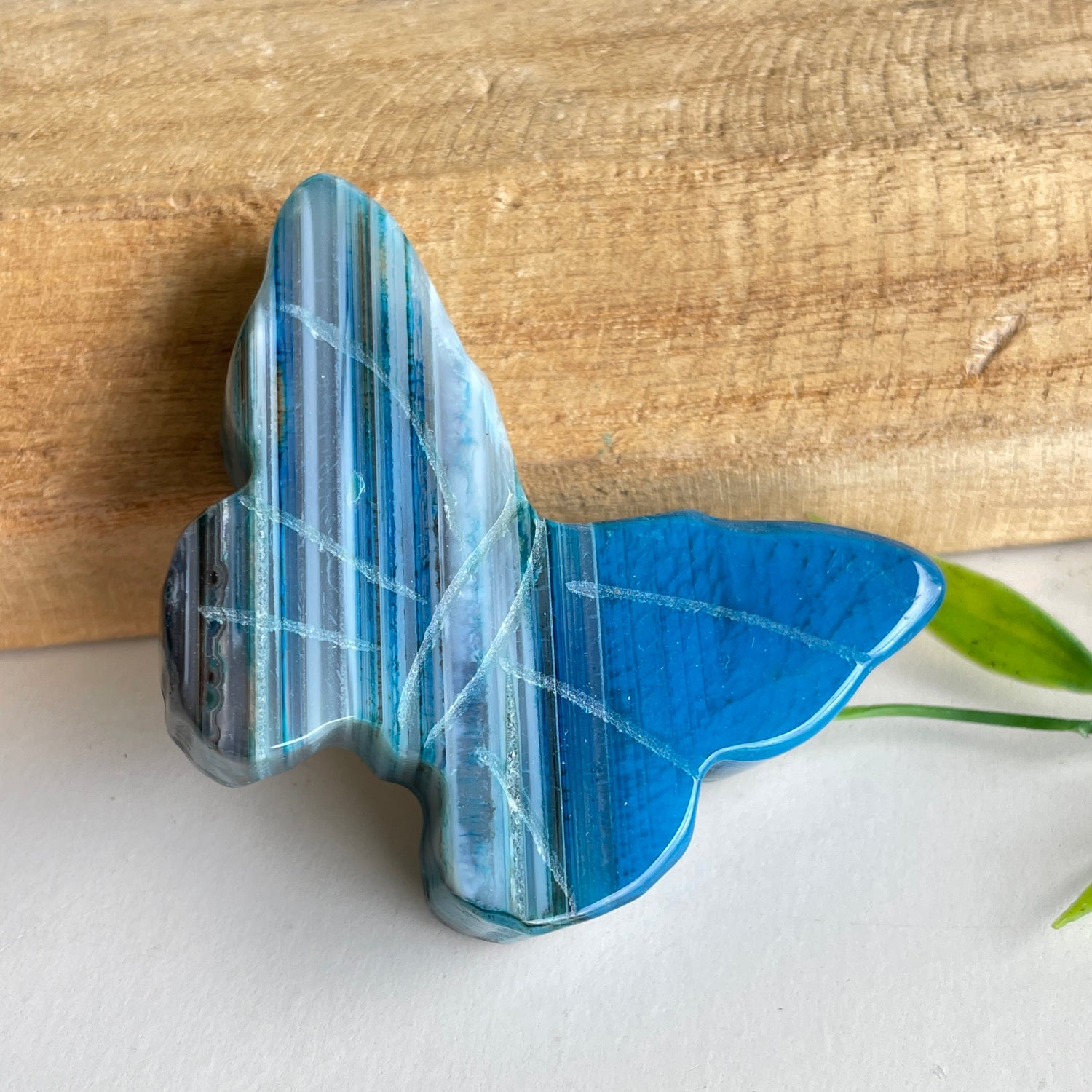 Agate Butterfly 5.9cm