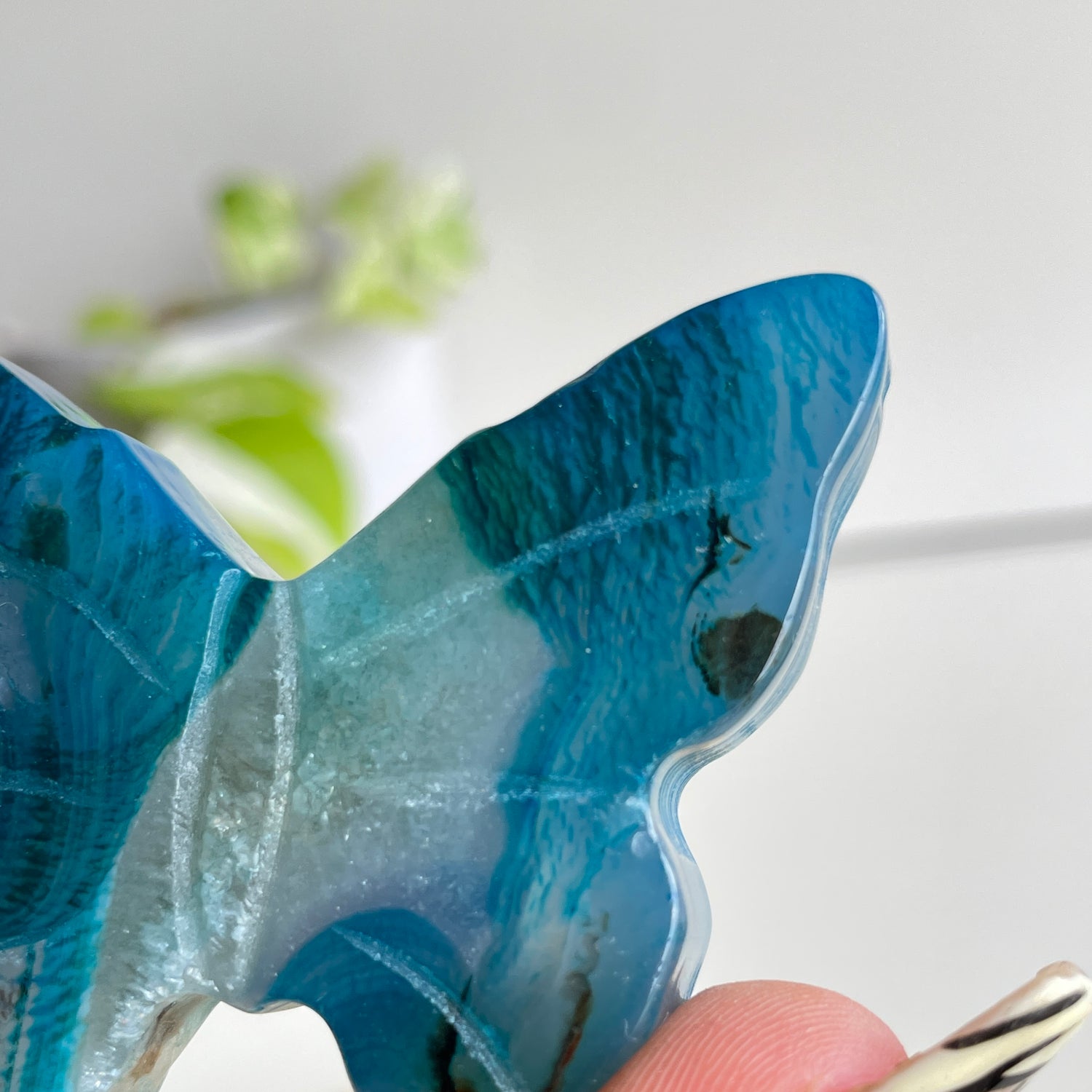 Agate Butterfly 6cm