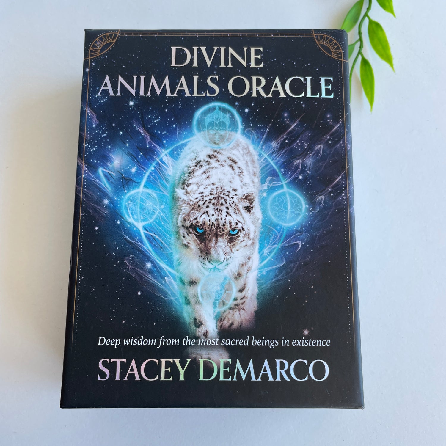 Divine Animals Oracle Cards Stacey Demarco