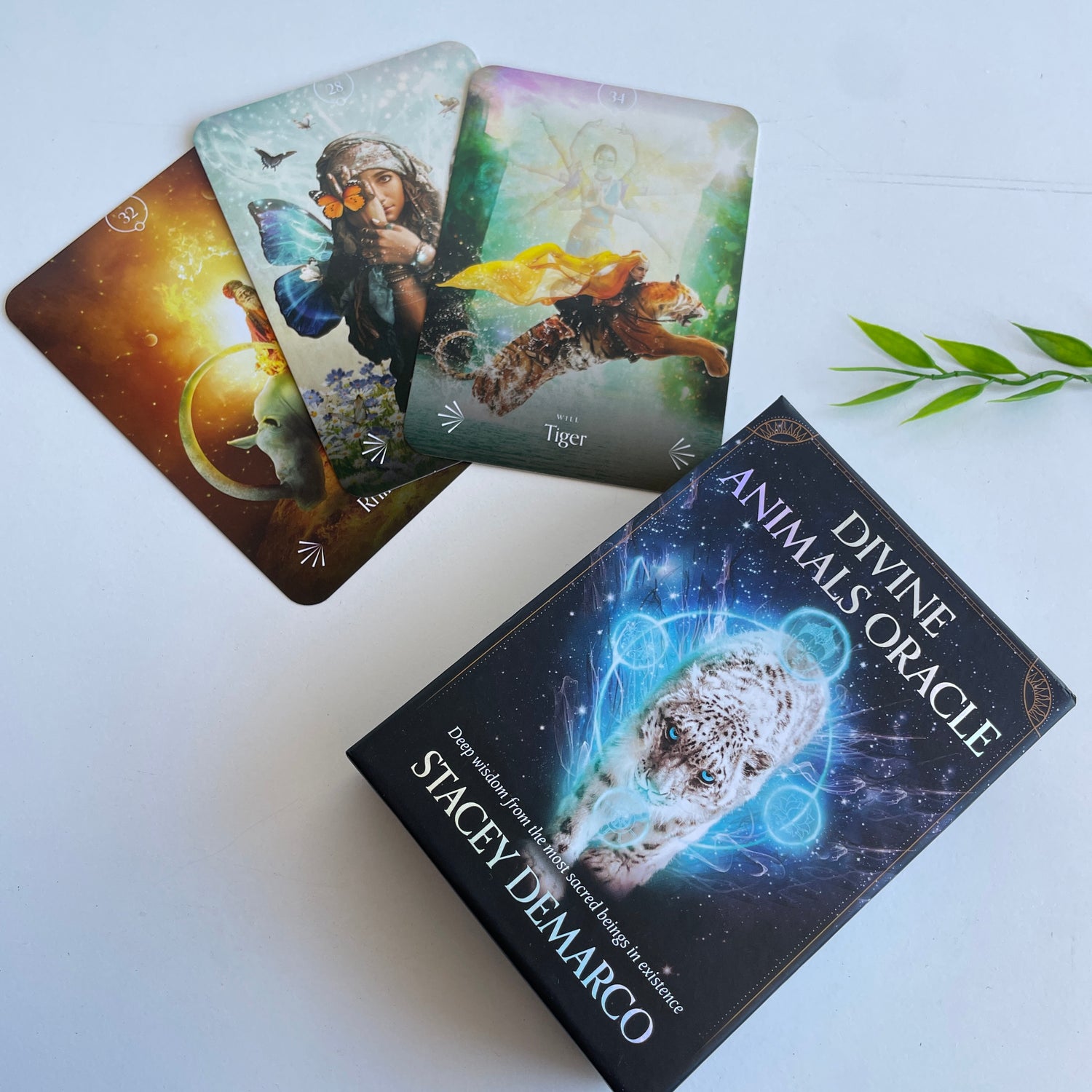 Divine Animals Oracle Cards Stacey Demarco