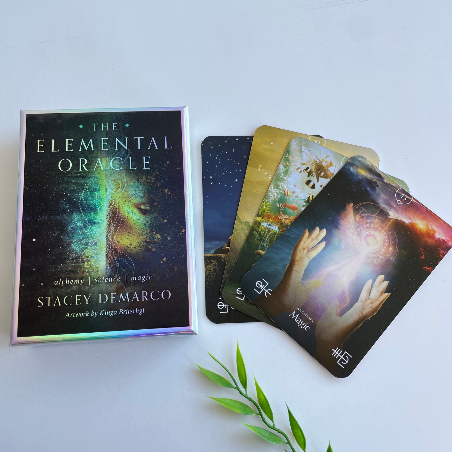The Elemental Oracle Stacey Demarco