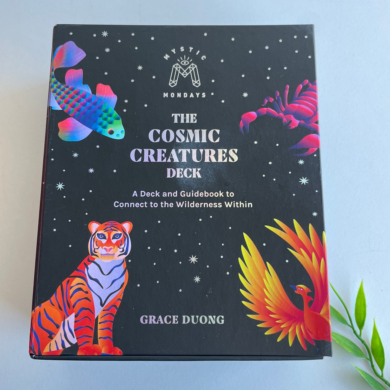Mystic Mondays The Cosmic Creatures Deck Grace Duong