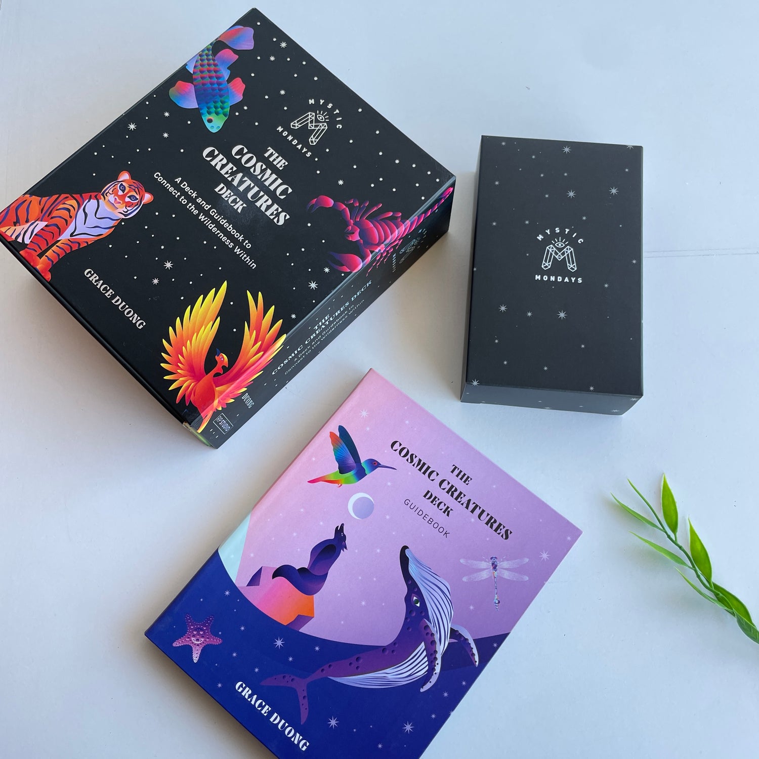 Mystic Mondays The Cosmic Creatures Deck Grace Duong