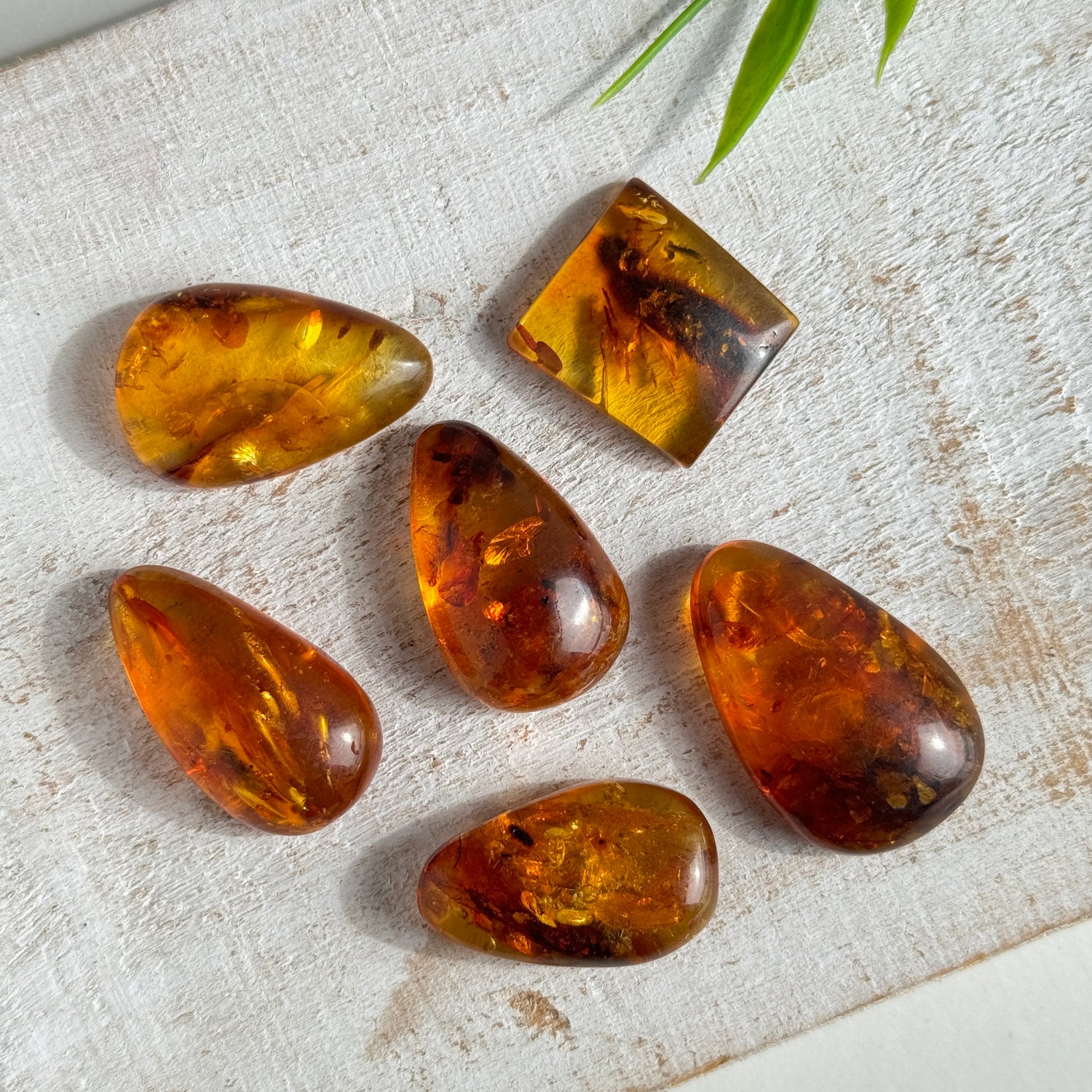 Amber Cabachons