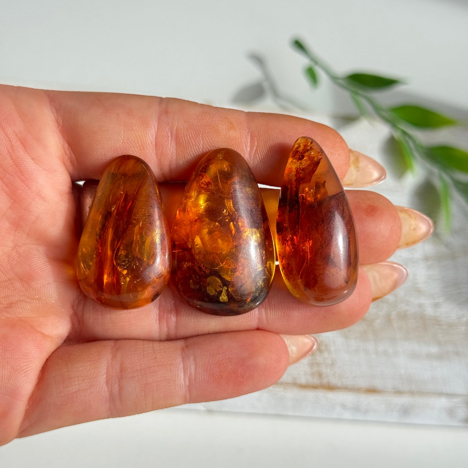 Amber Cabachons