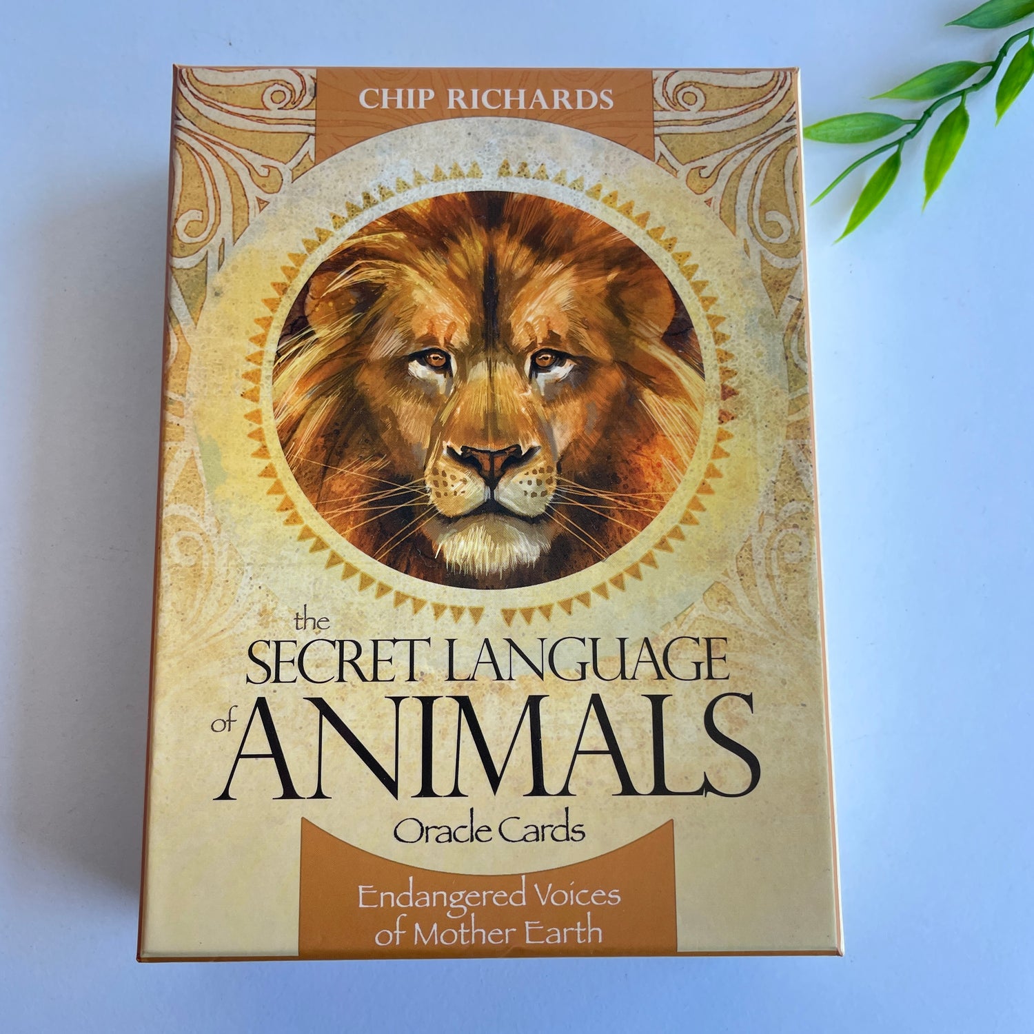 The Secret Language Of Animals Oracle Cards