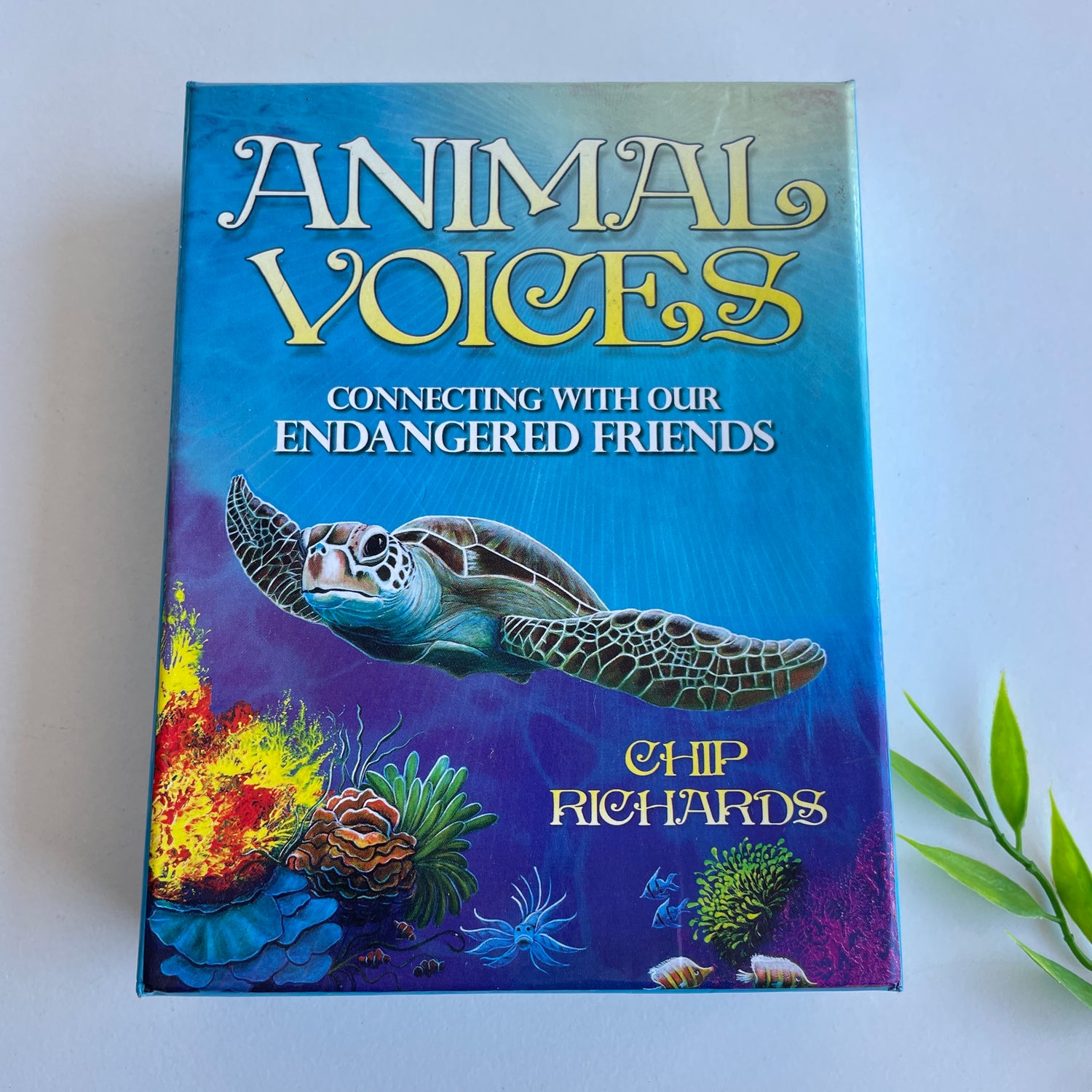 Animal Voices Oracle Cards Chip Richards