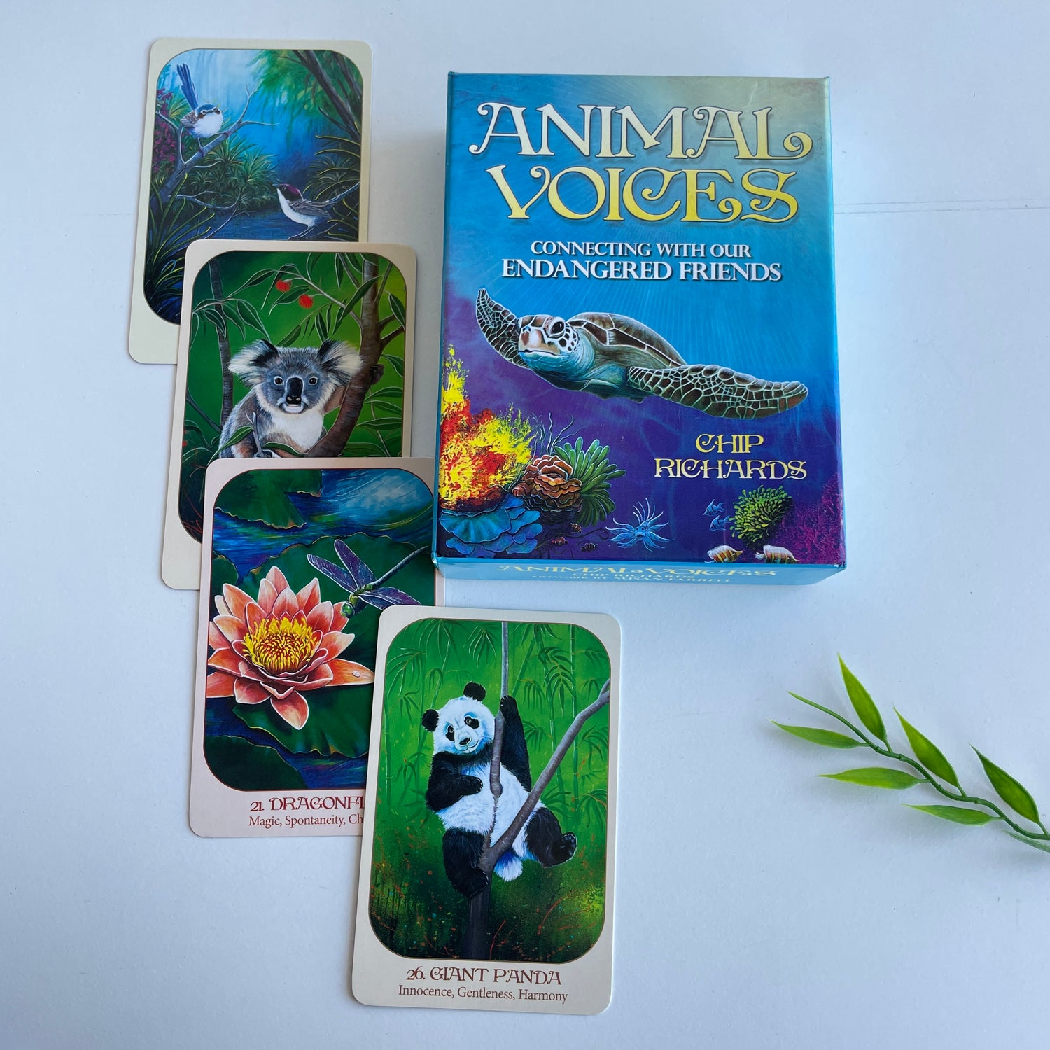 Animal Voices Oracle Cards Chip Richards