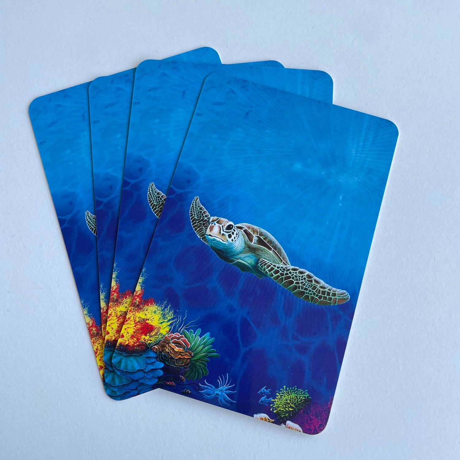 Animal Voices Oracle Cards Chip Richards