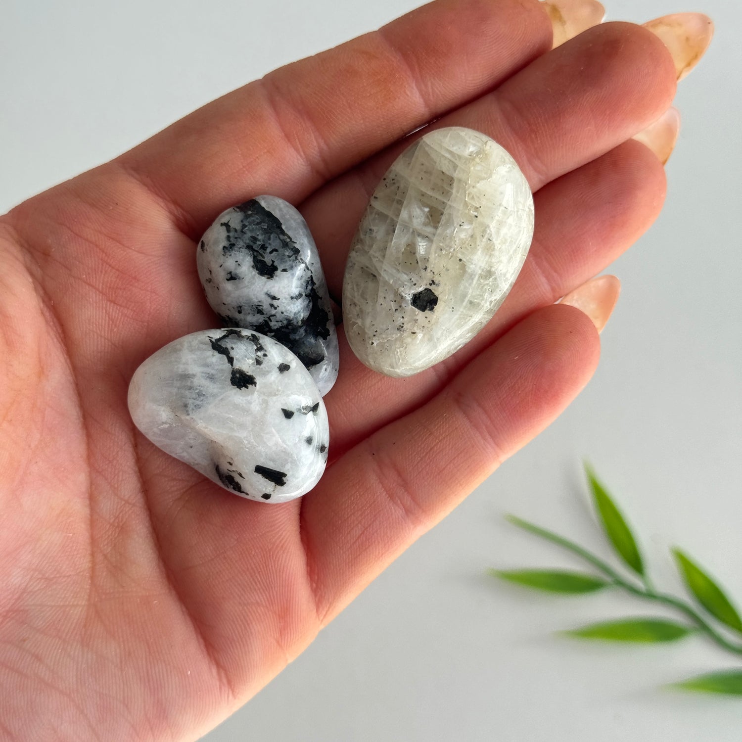 White Moonstone Tumbled