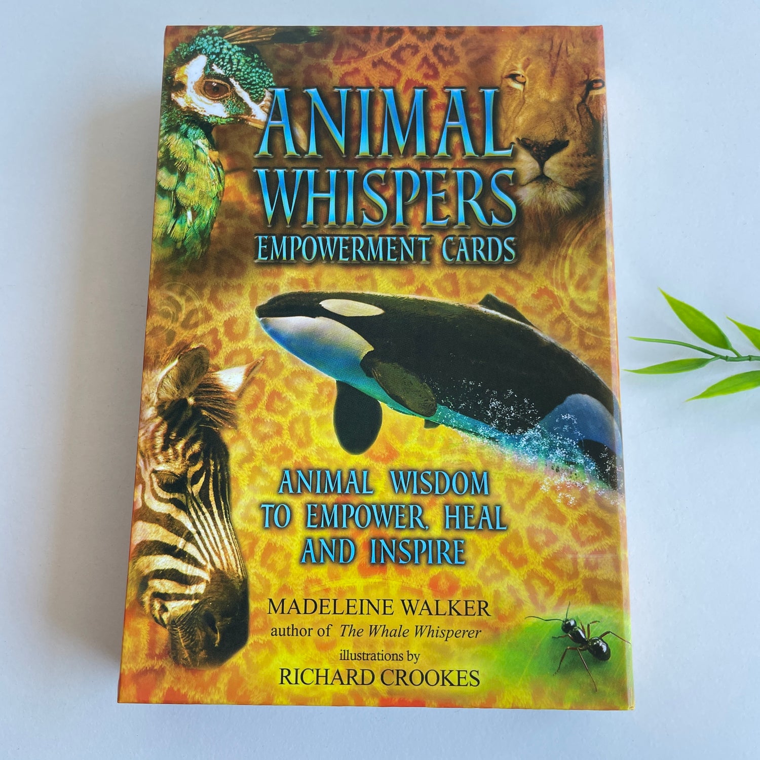 Animal Whispers Empowerment Cards Madeleine Walker