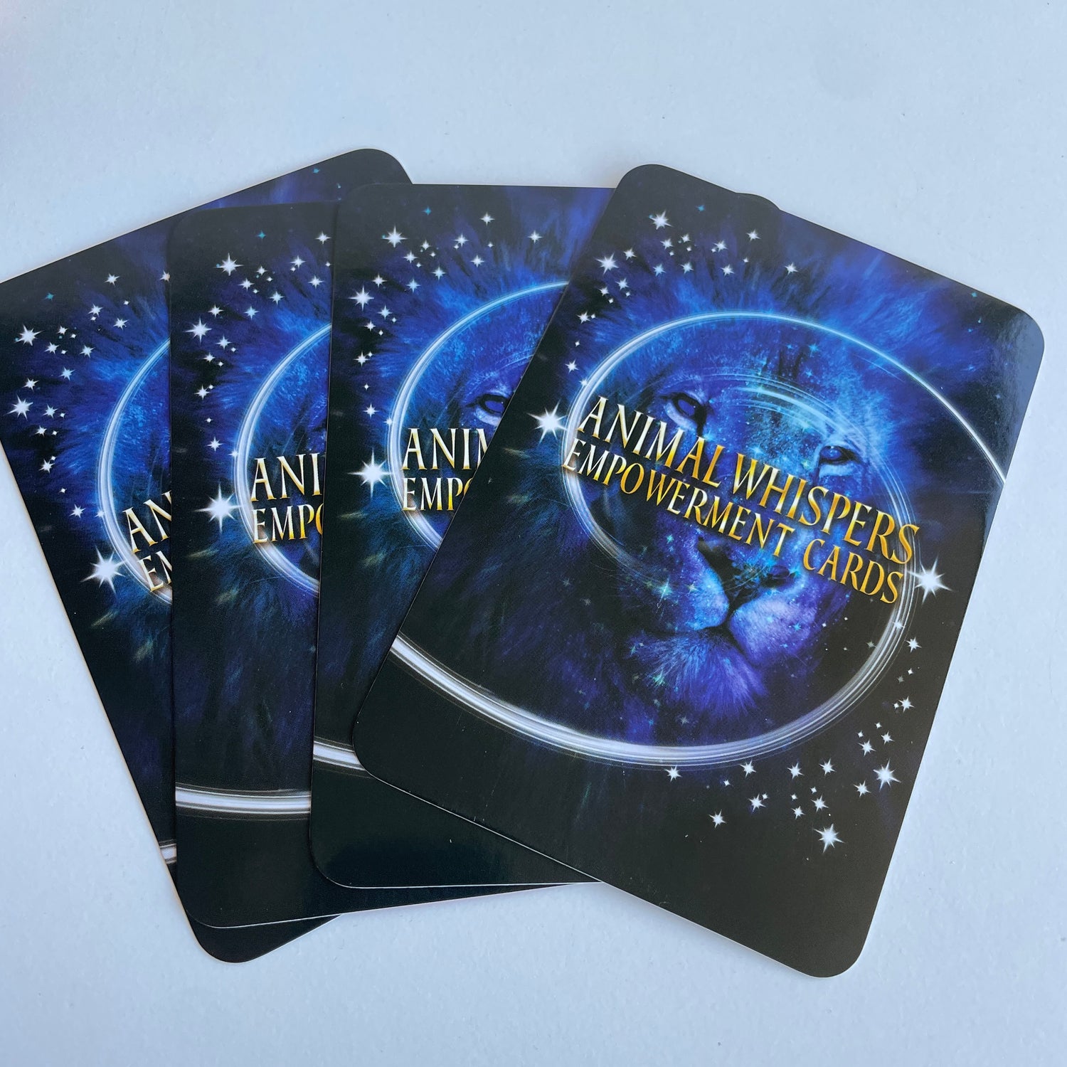 Animal Whispers Empowerment Cards Madeleine Walker