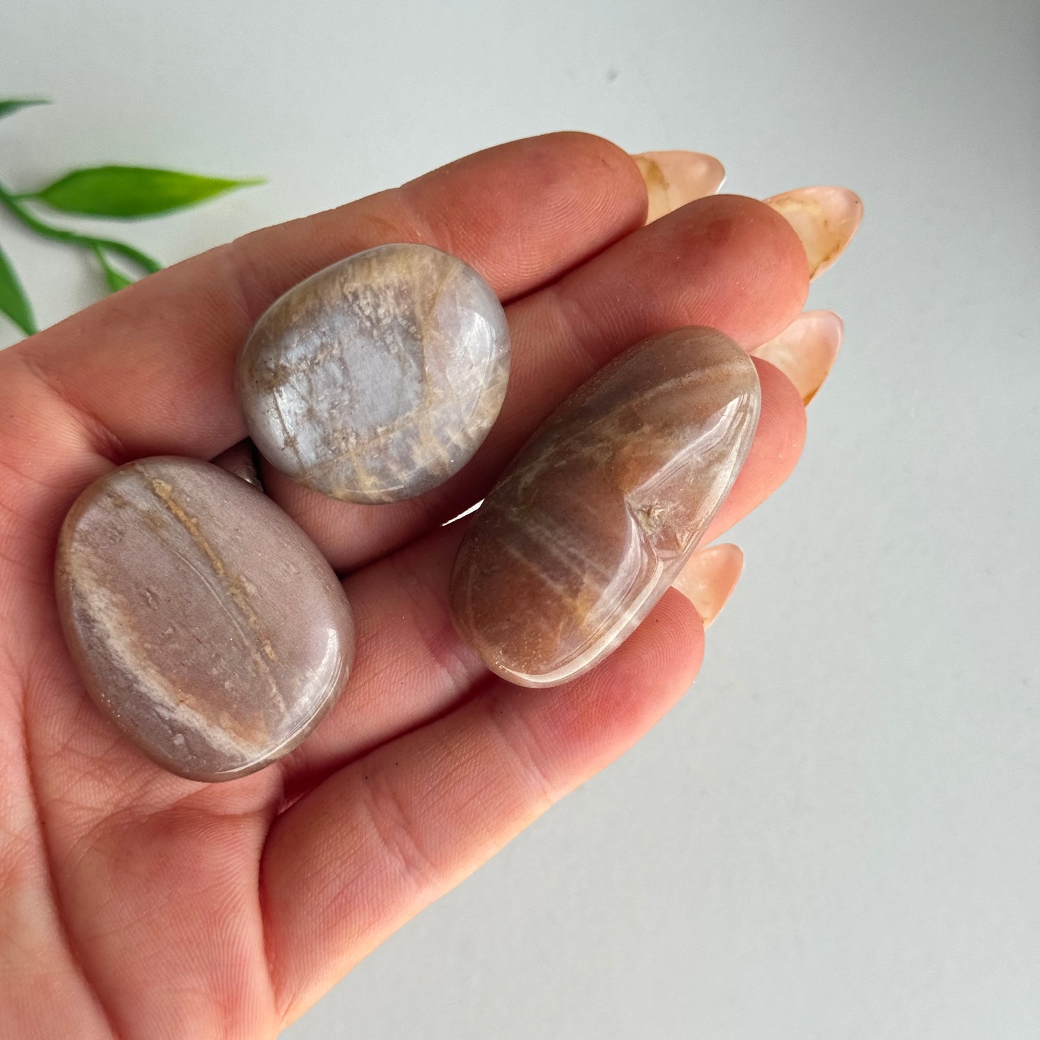 Cream Moonstone Tumbled