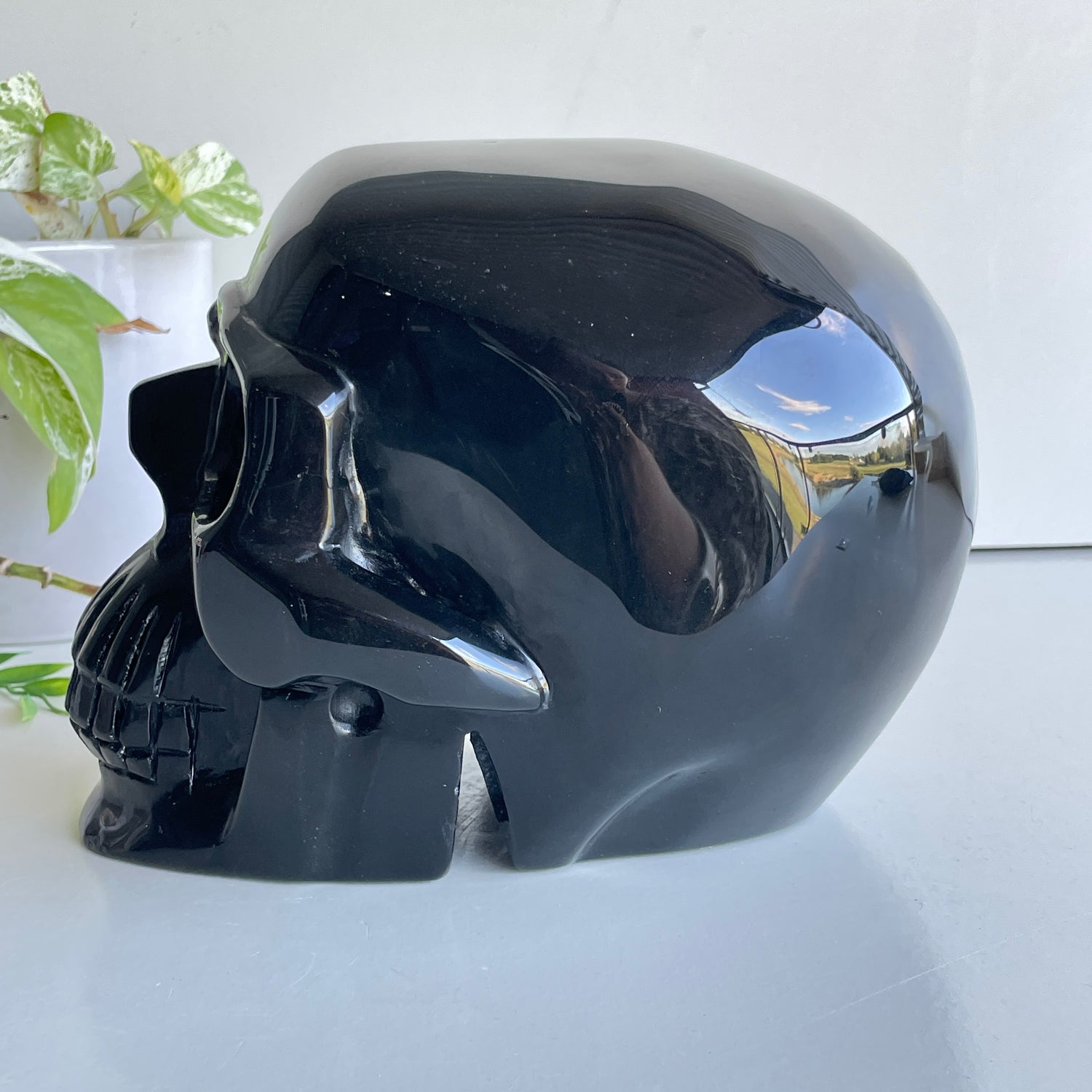 Black Obsidian Skull 22cm