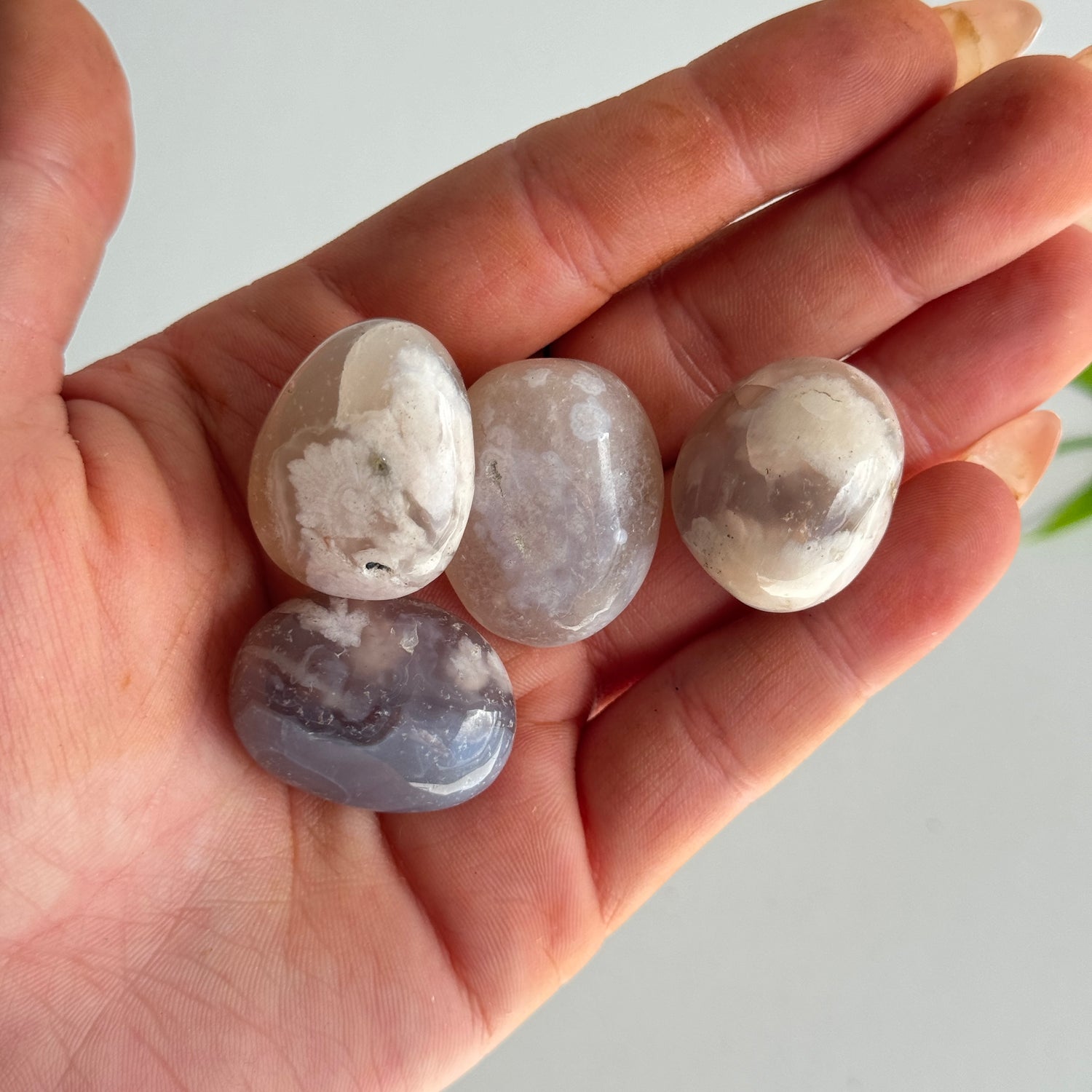 Flower Agate Tumbled
