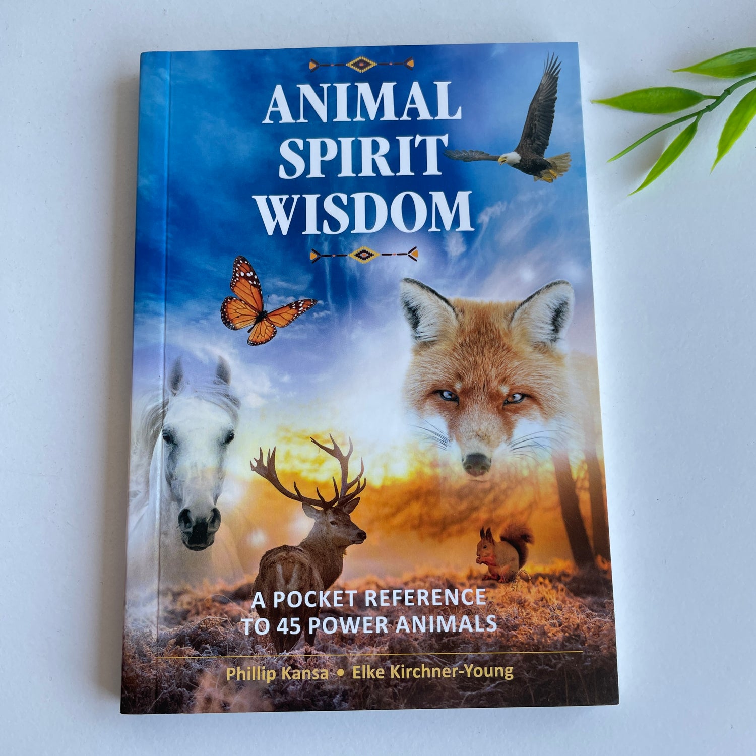 Animal Spirit Wisdom Phillip Kansa
