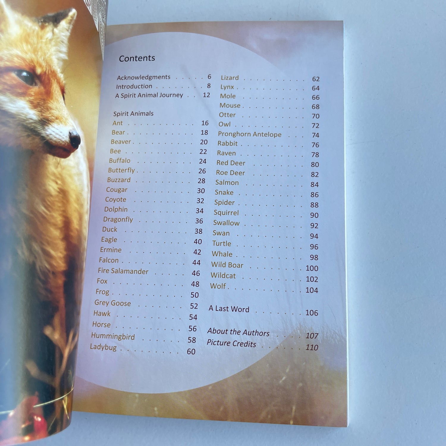 Animal Spirit Wisdom Phillip Kansa
