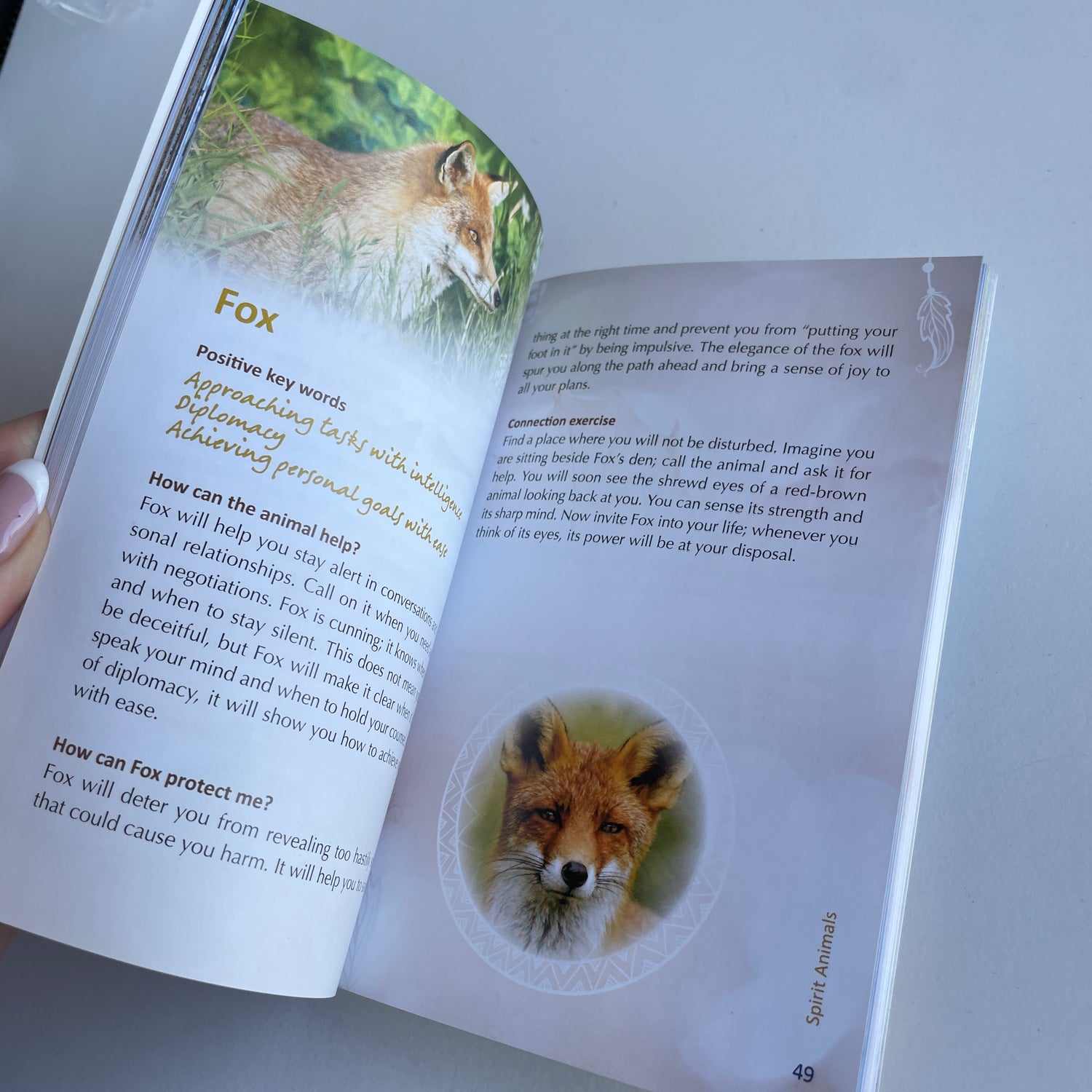 Animal Spirit Wisdom Phillip Kansa
