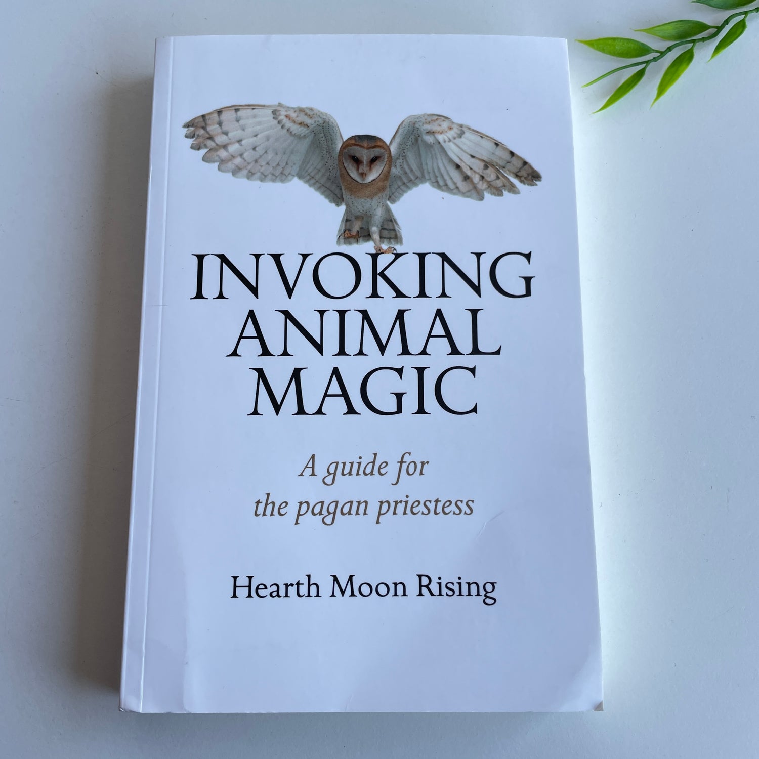 Invoking Animal Magic Hearth Moon Rising