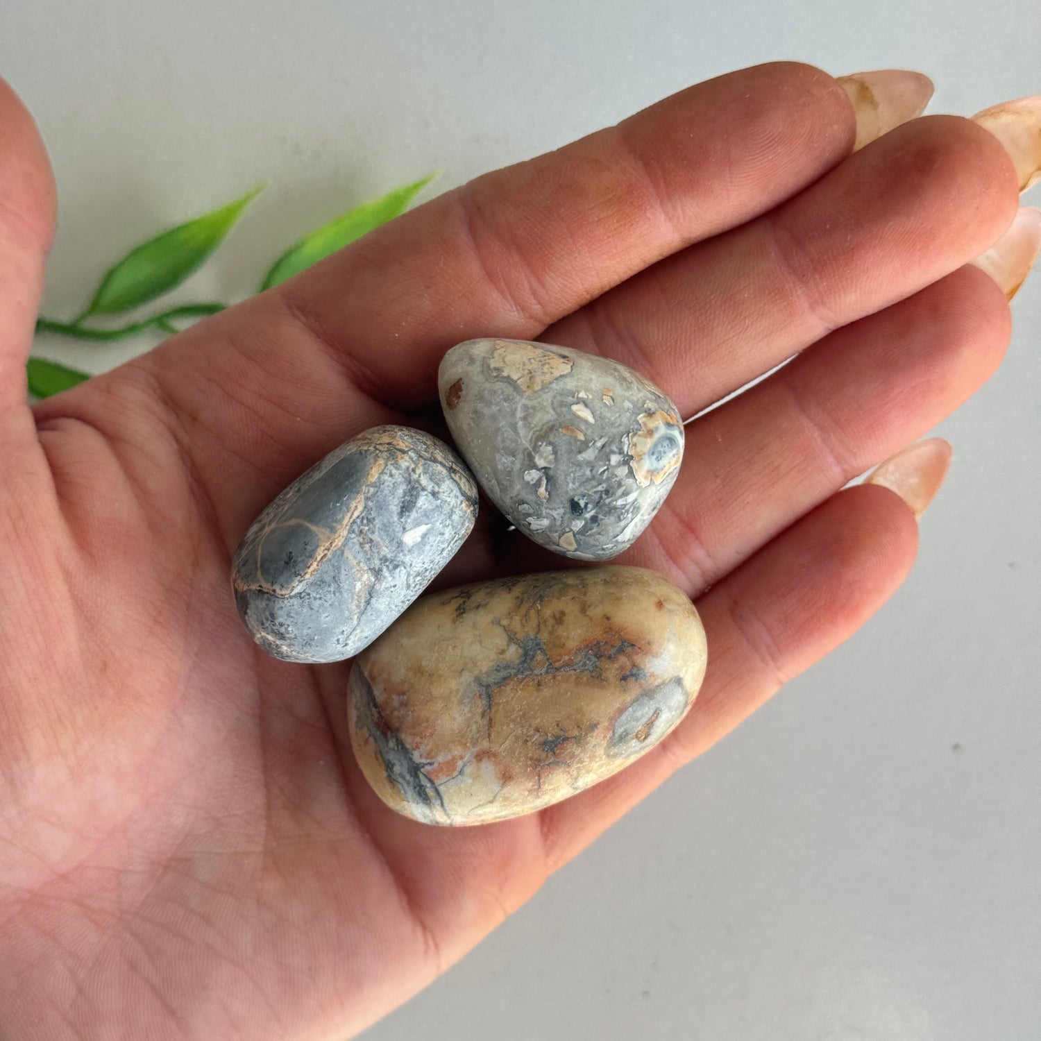 Maligano Jasper Tumbled