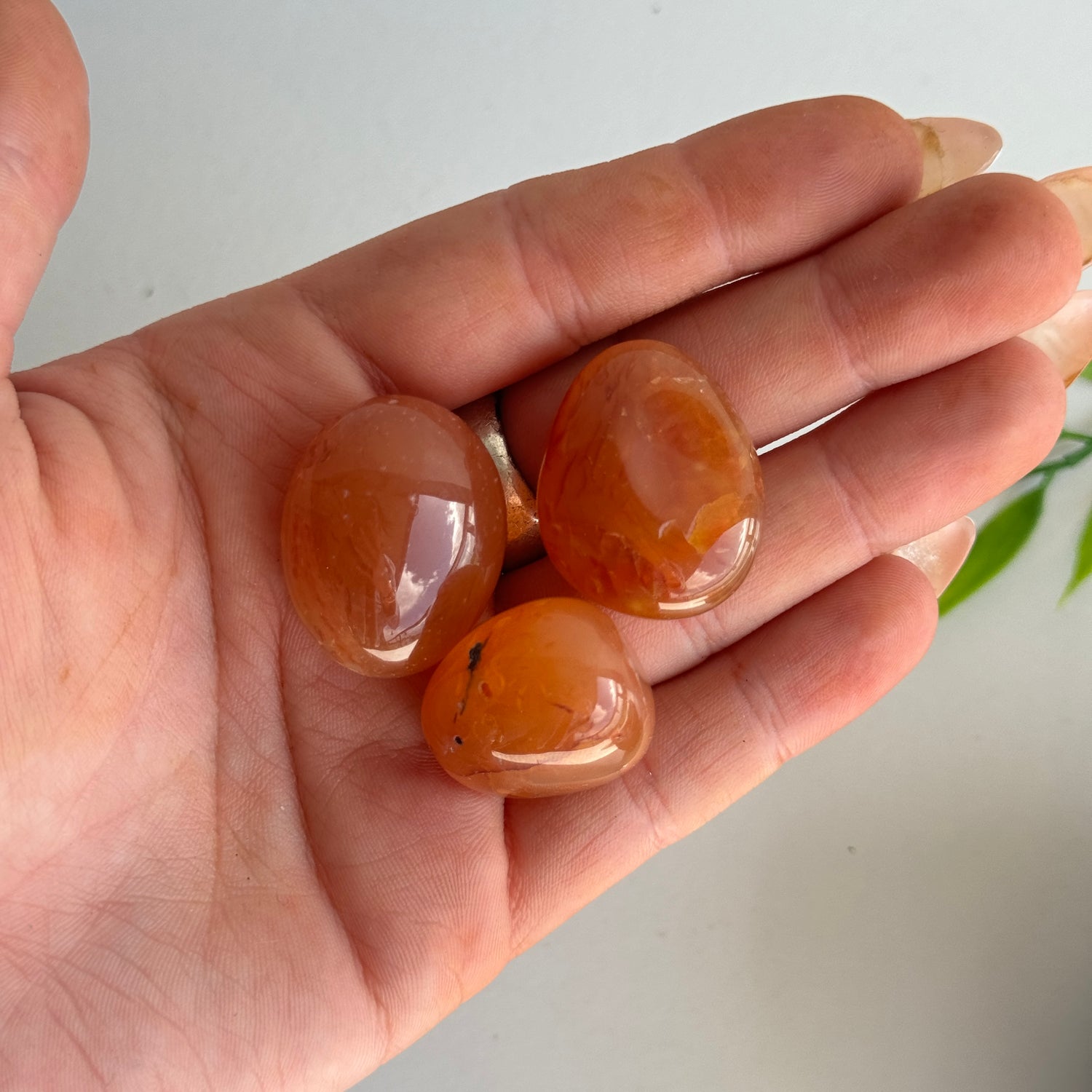 Carnelian Tumbled