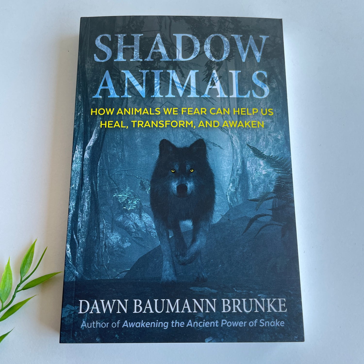 Shadow Animals Dawn Baumann Brunke