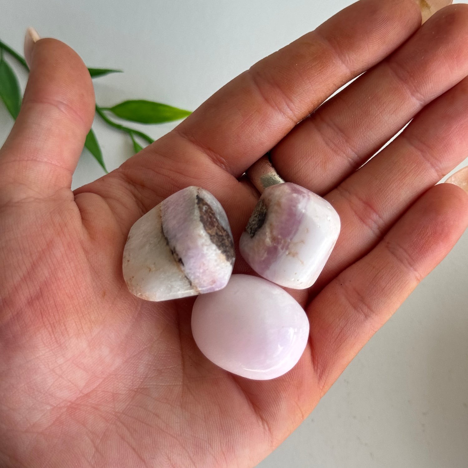 Pink Aragonite Tumbled