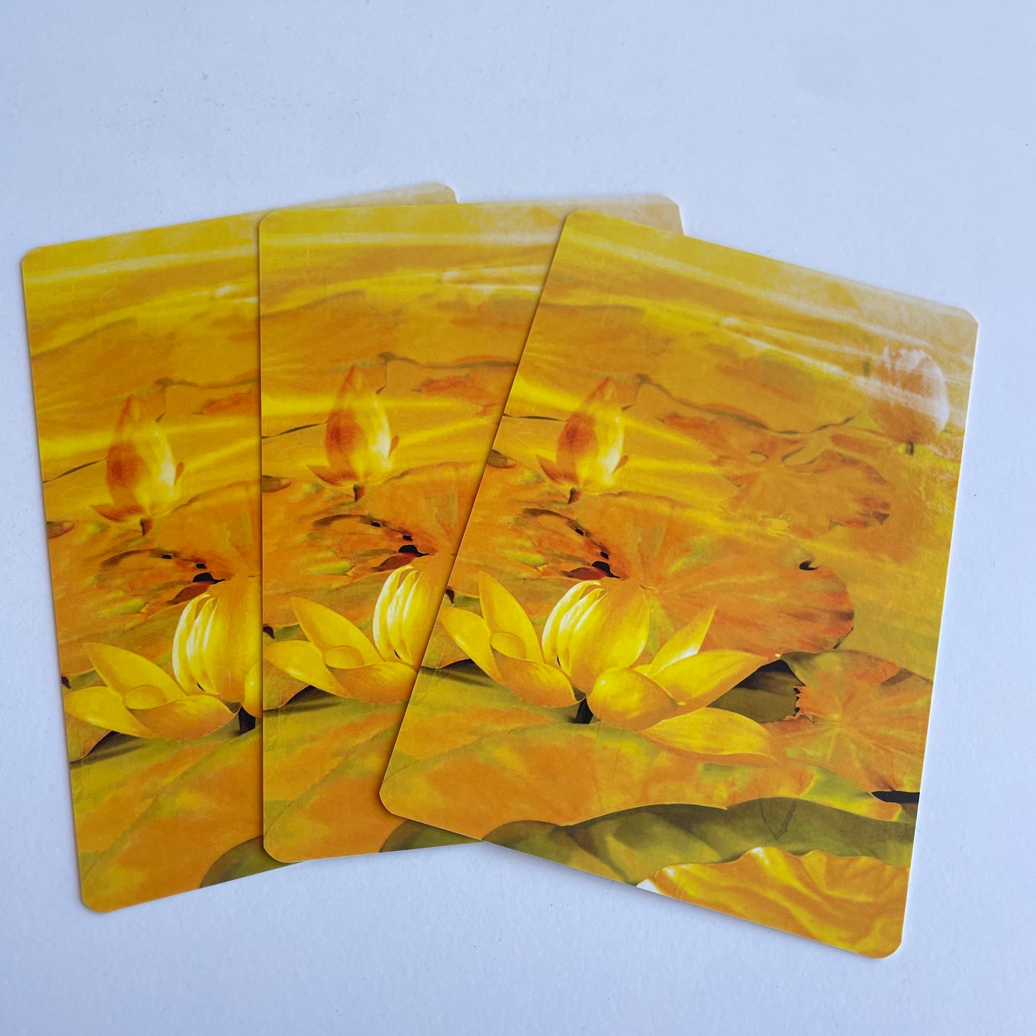 Wisdom Of The Golden Path Oracle Cards Toni Salerno