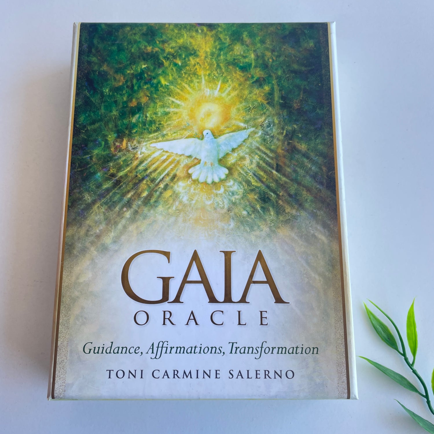 Gaia Oracle Cards Toni Salerno