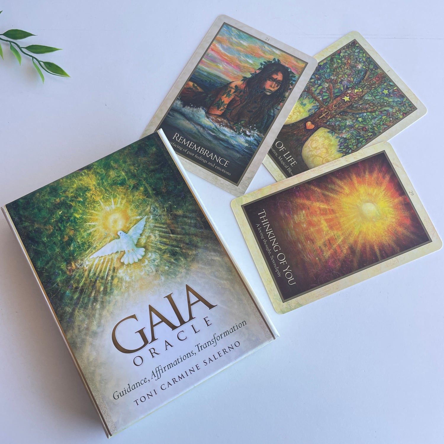 Gaia Oracle Cards Toni Salerno