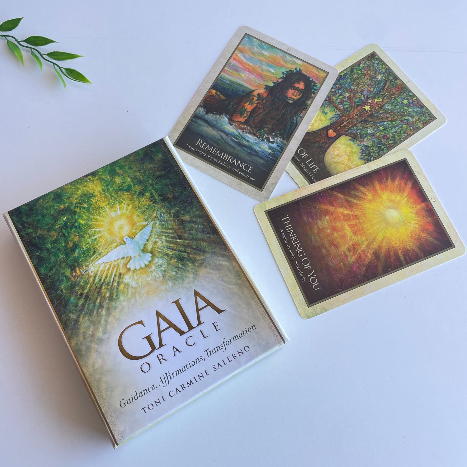 Gaia Oracle Cards Toni Salerno