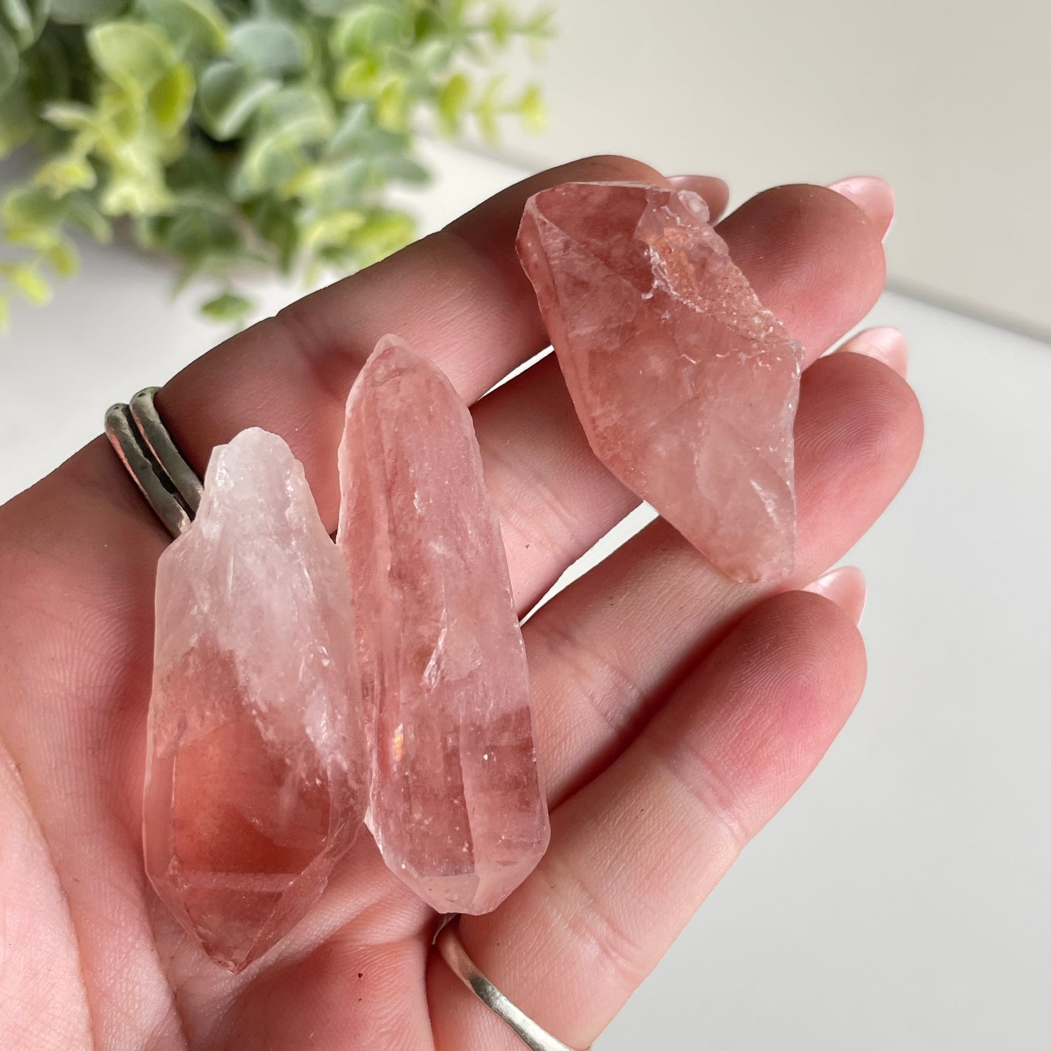 Pink Lemurian Quartz Points Assorted