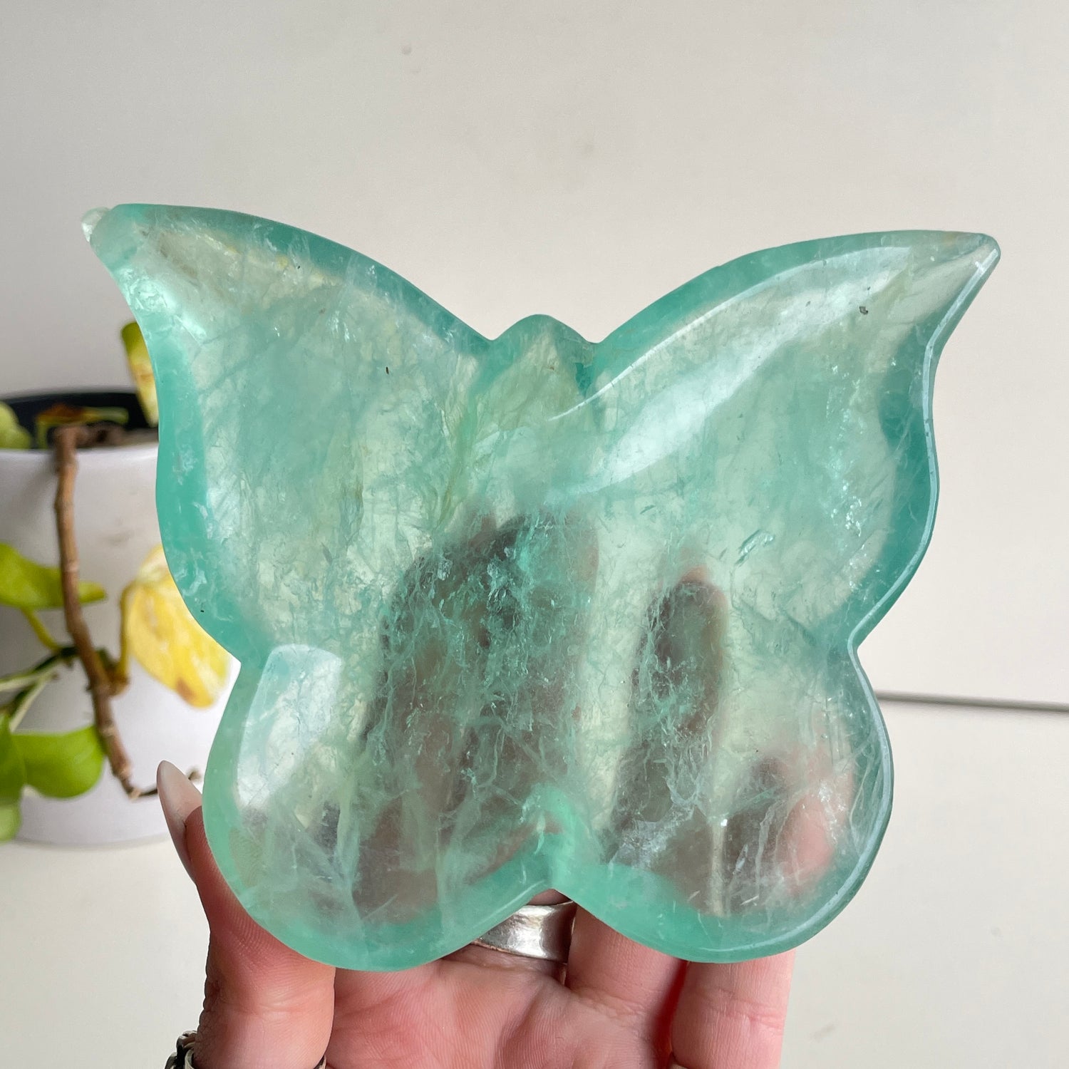 Fluorite Butterfly Bowl 13.1cm