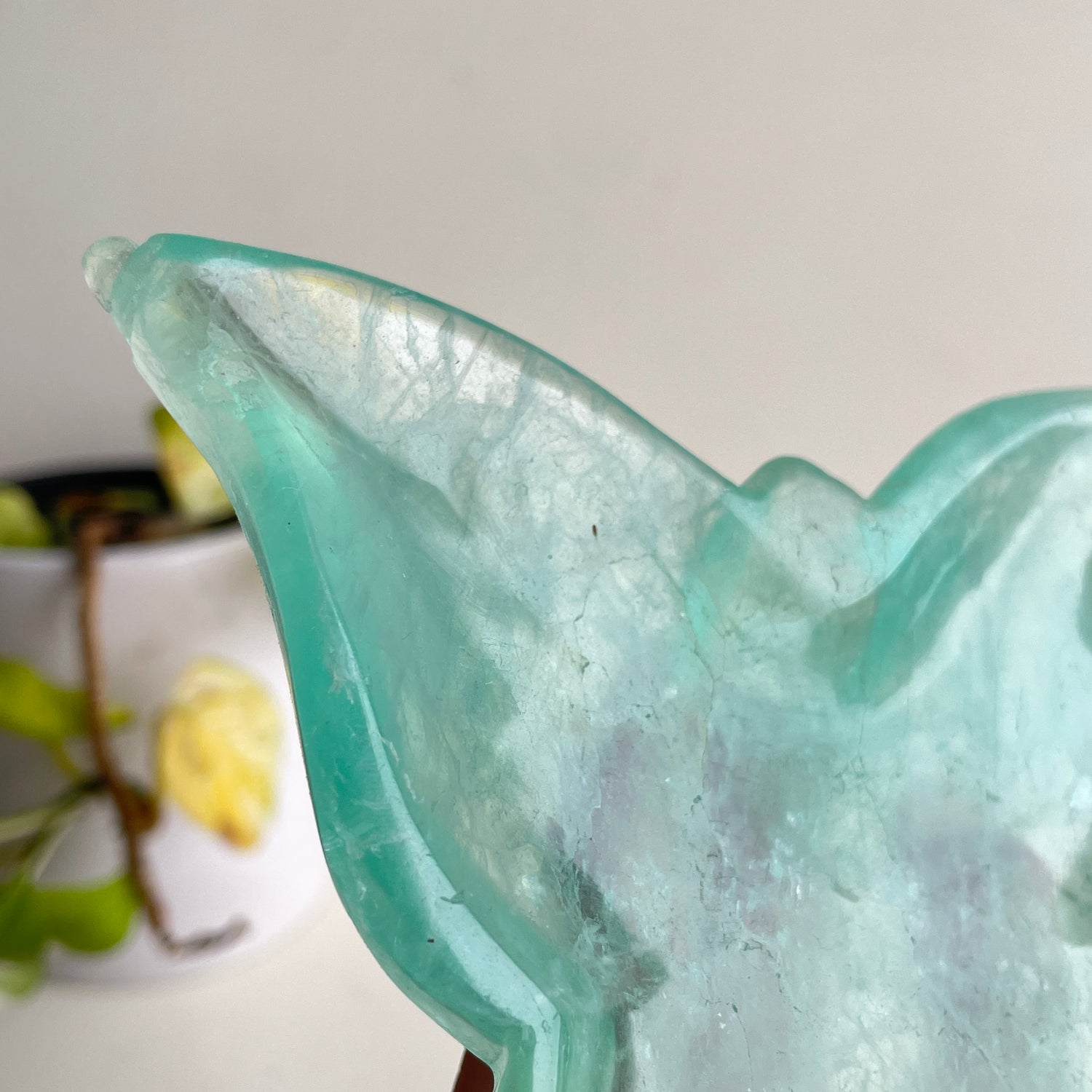 Fluorite Butterfly Bowl 13.1cm