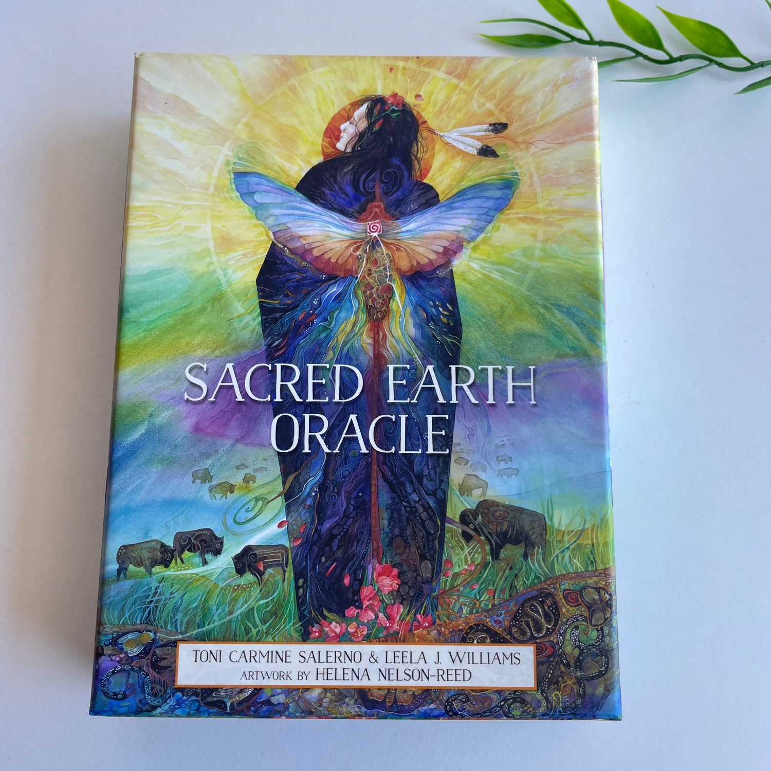 Sacred Earth Oracle Cards Toni Salerno