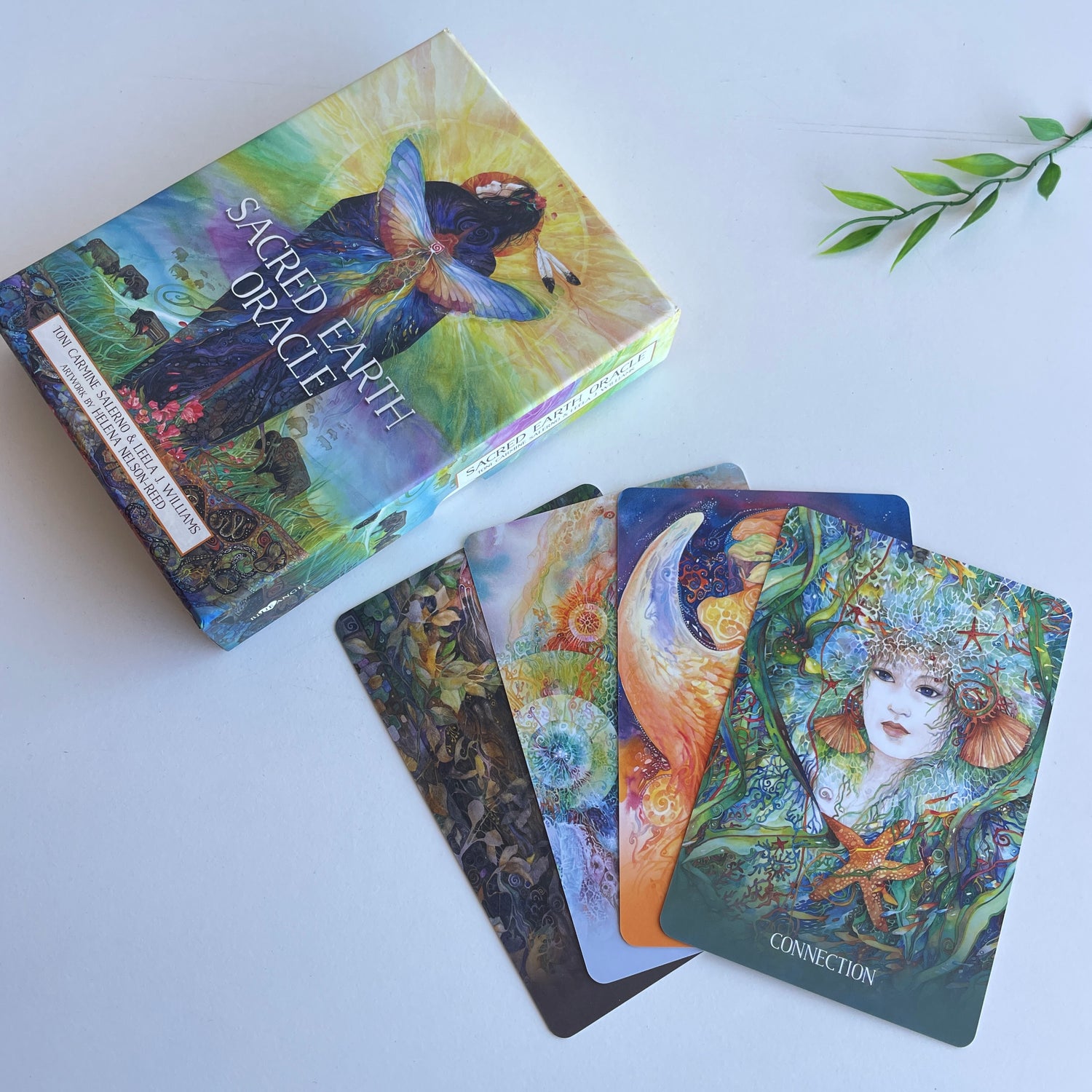 Sacred Earth Oracle Cards Toni Salerno