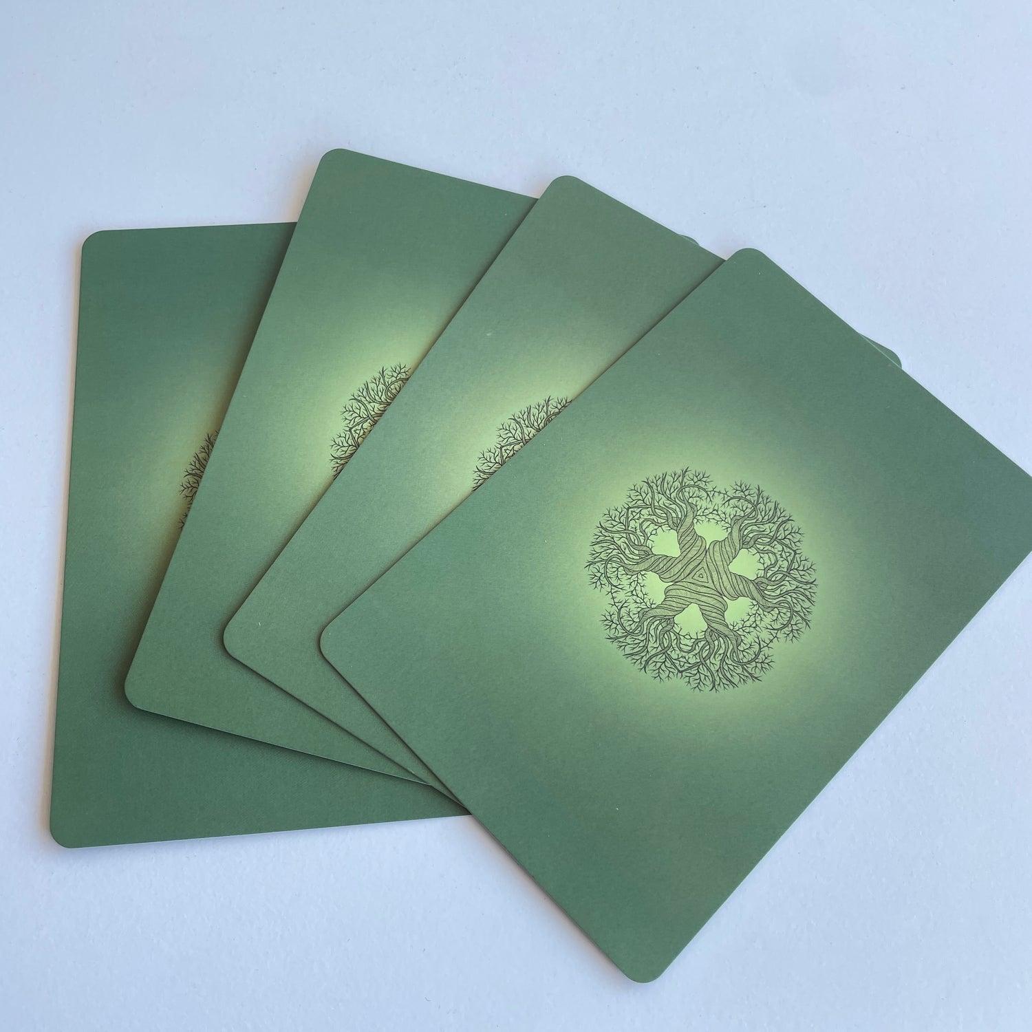 Sacred Earth Oracle Cards Toni Salerno