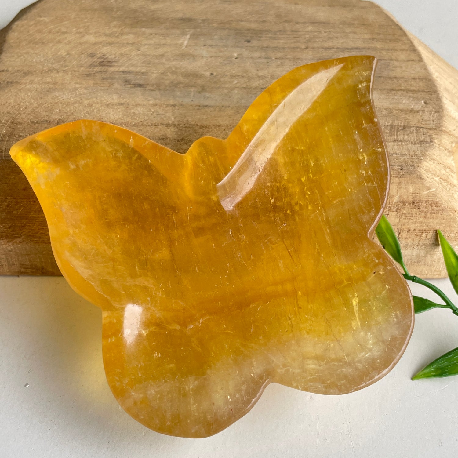 Fluorite Butterfly Bowl 10.7cm
