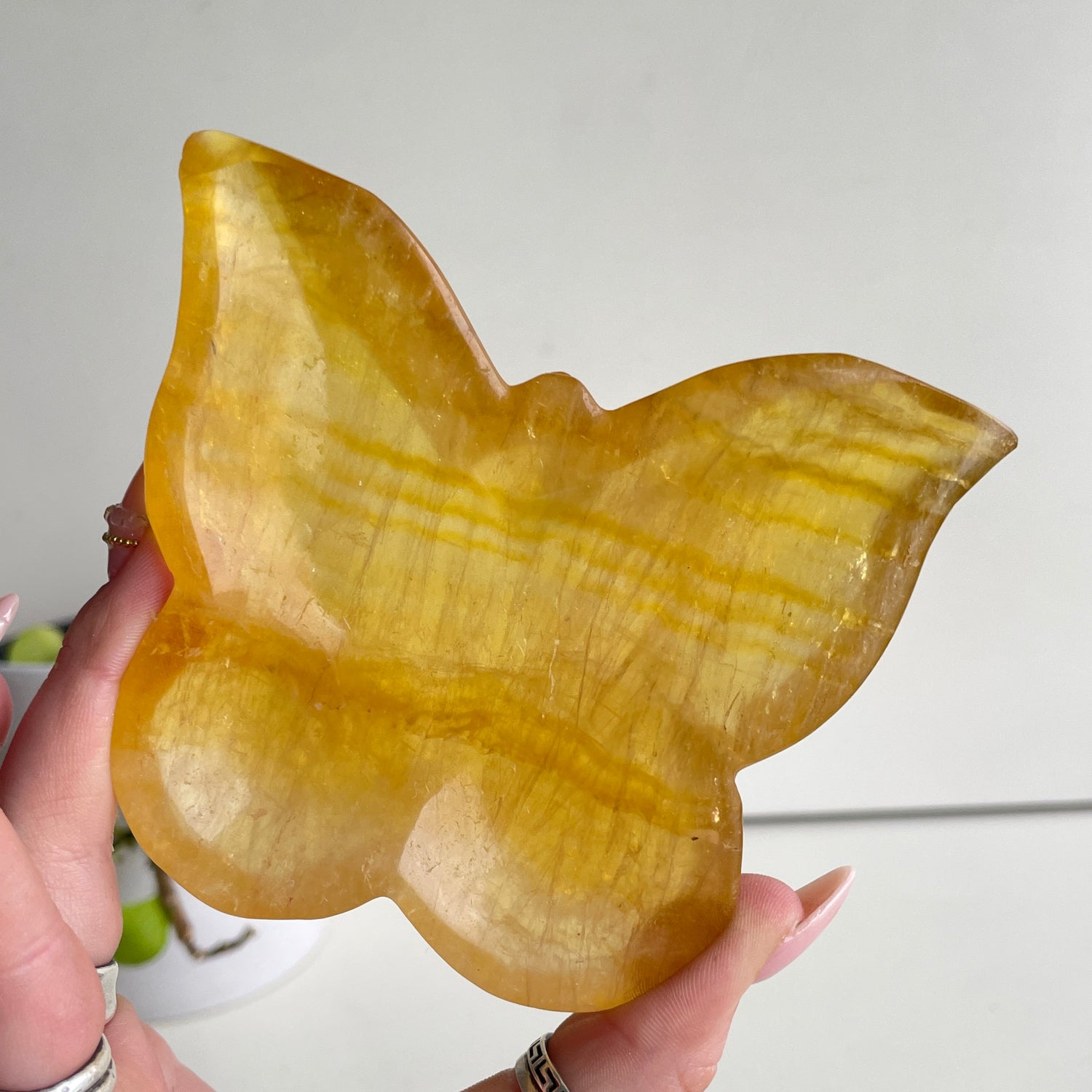 Fluorite Butterfly Bowl 10.7cm